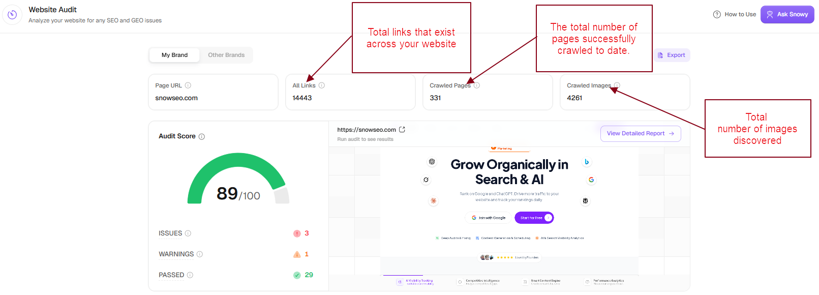 Website Audit Results Dashboard