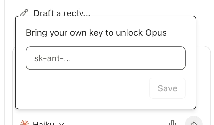 Prompt asking for an Anthropic API key after choosing a model that needs one