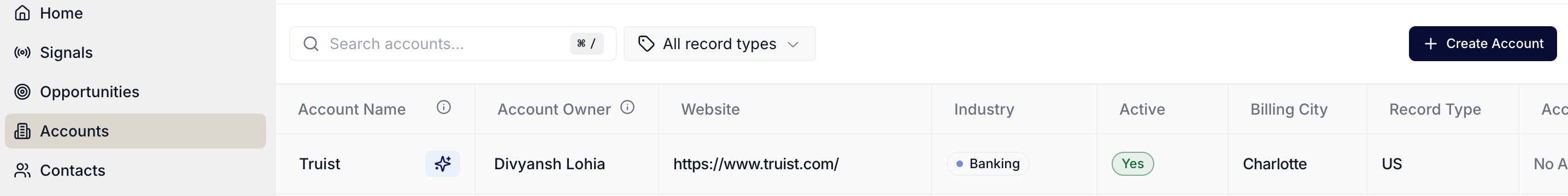 The top bar of the Accounts table showing the Create Account button, real-time search, and Record Type filter dropdown.