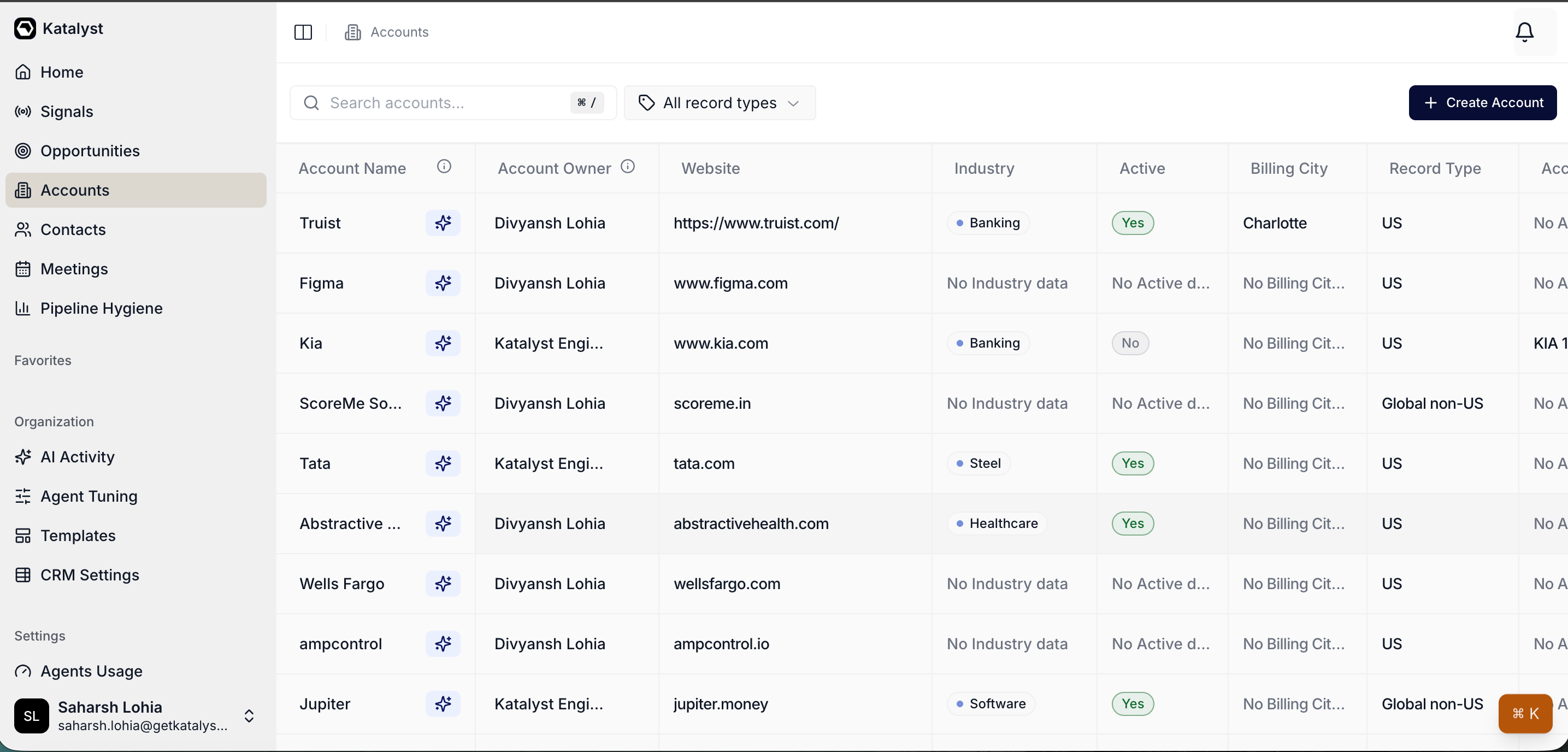 The Accounts tab showing the sortable table of accounts with columns for Account Name, Account Owner, Website, Industry, and more.