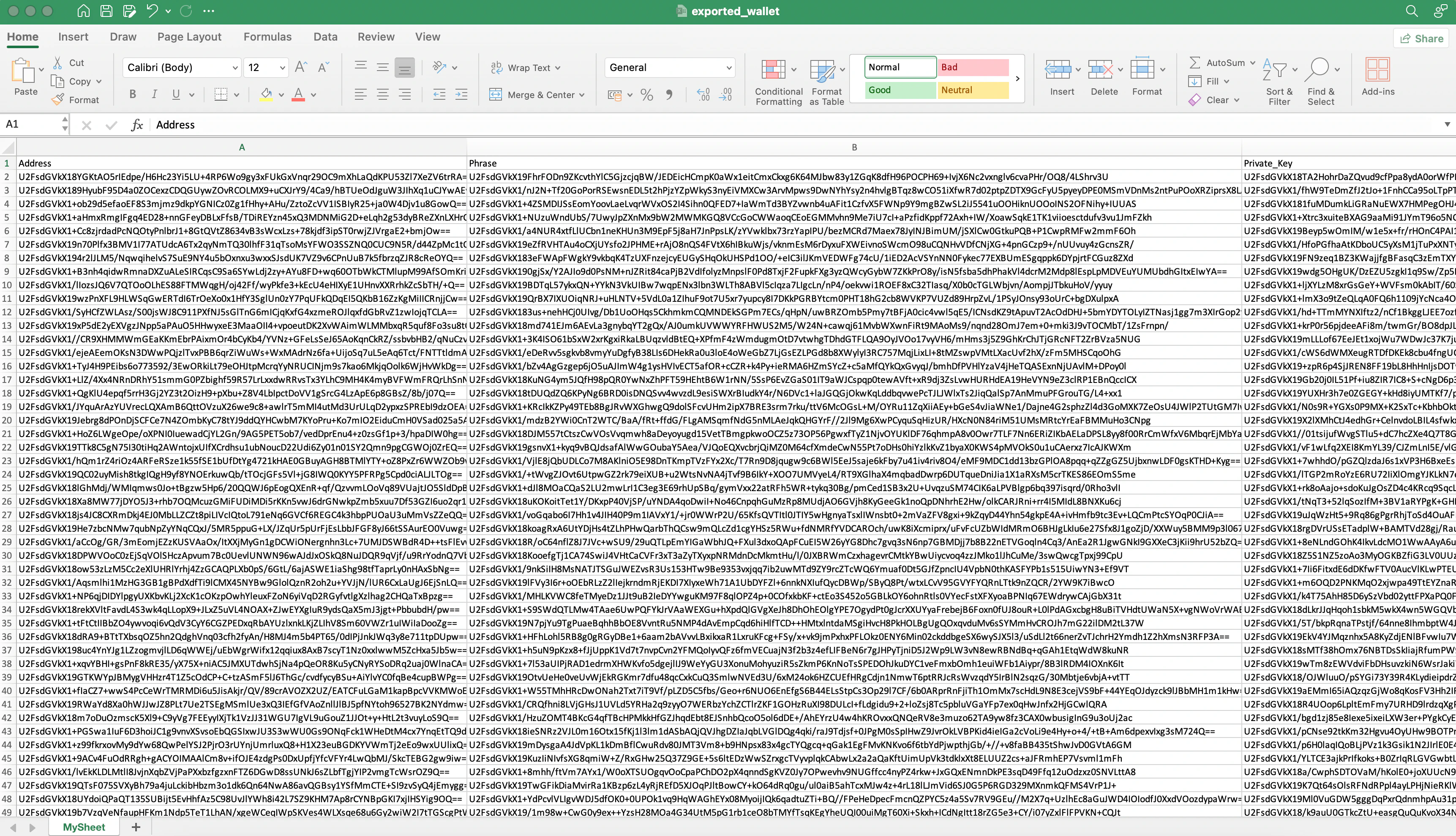 The Excel file contains wallet information exported from the app.