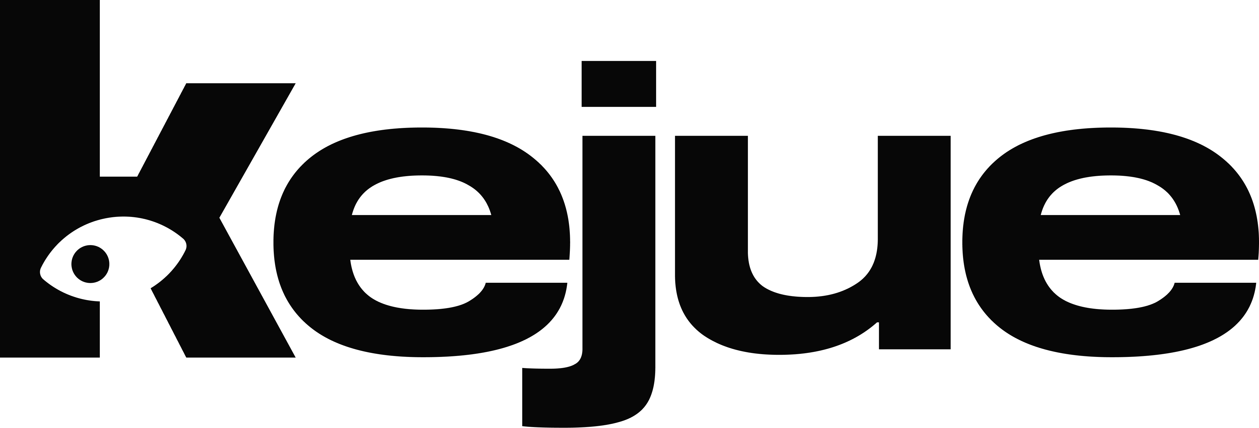 light logo