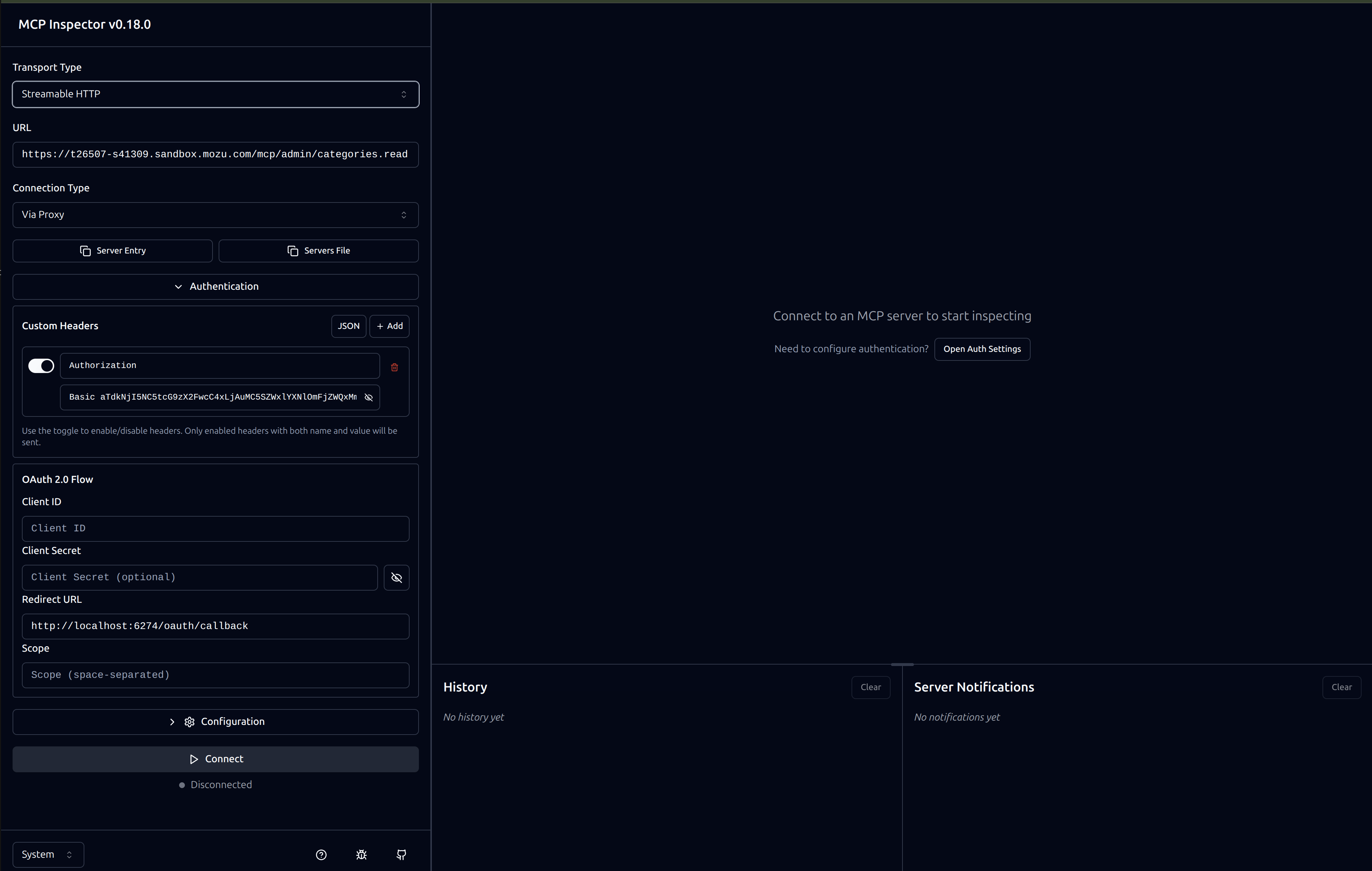 MCP Inspector authorization configuration