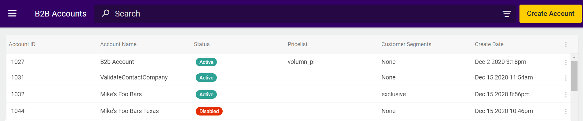 The B2B Accounts page with several example accounts