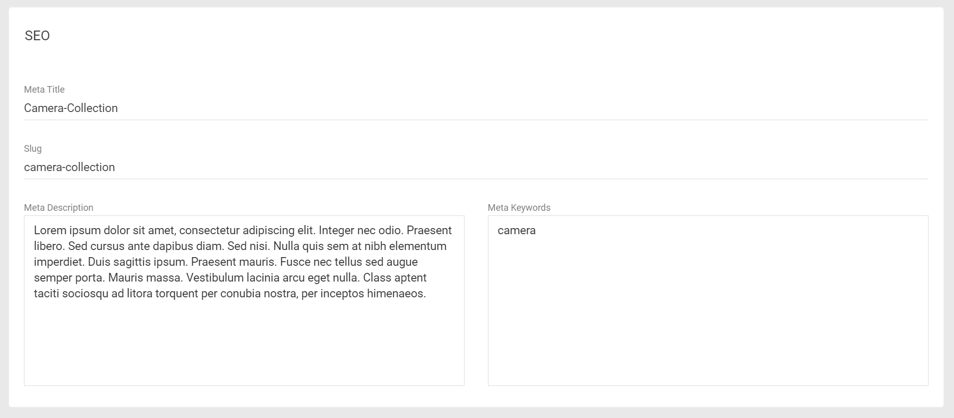 The SEO configuration form
