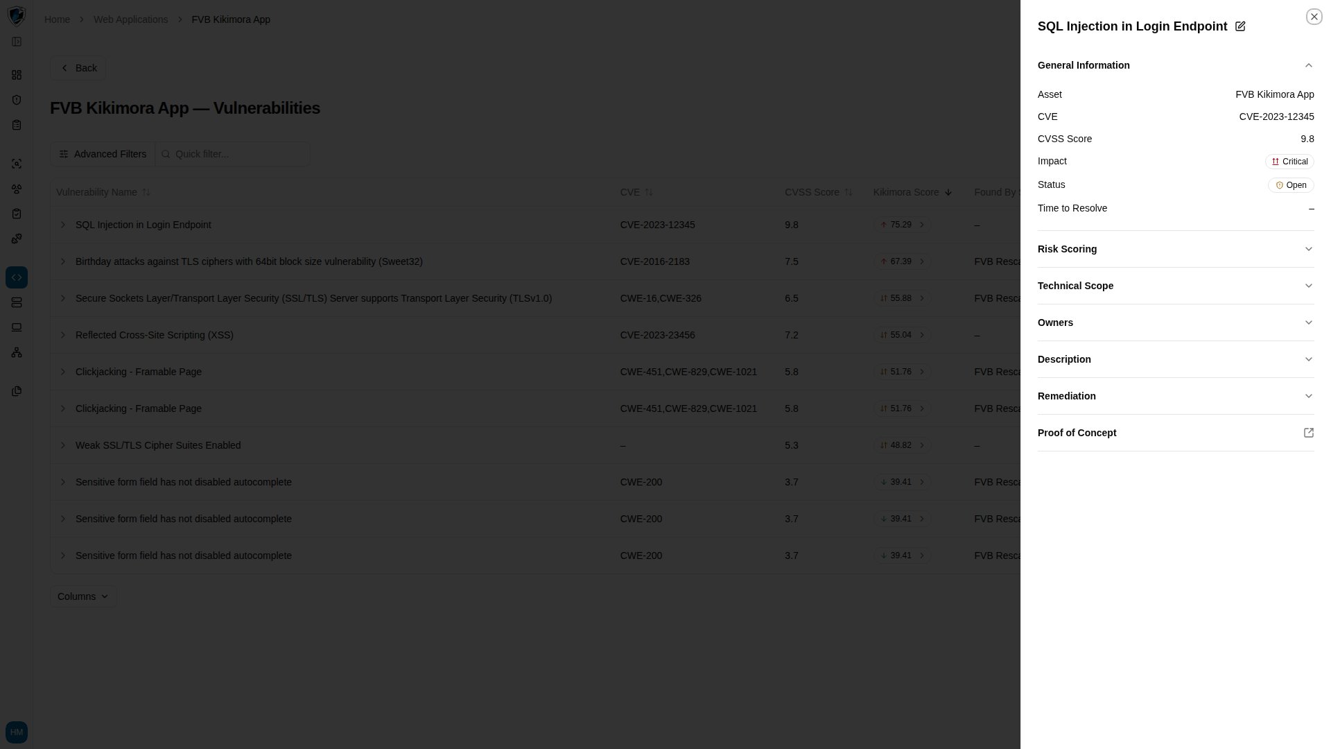 Web application vulnerabilities tab with the preview drawer open on a selected finding