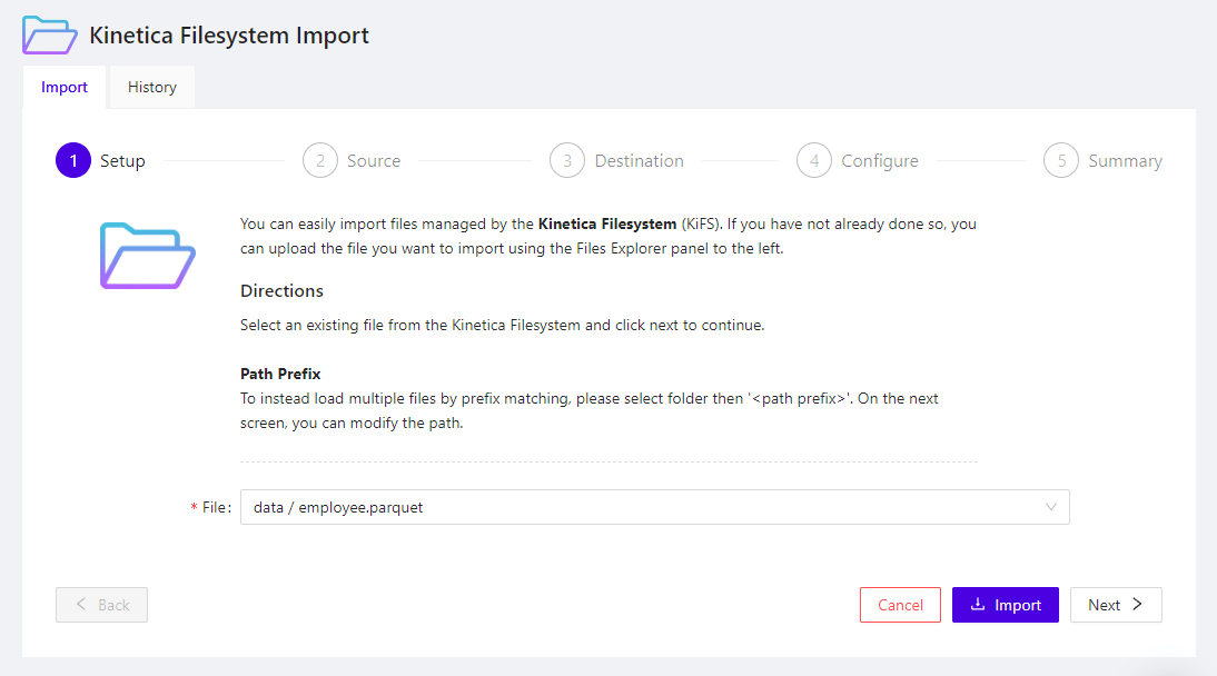 ../images/wb.explorer_files_import_setup.png