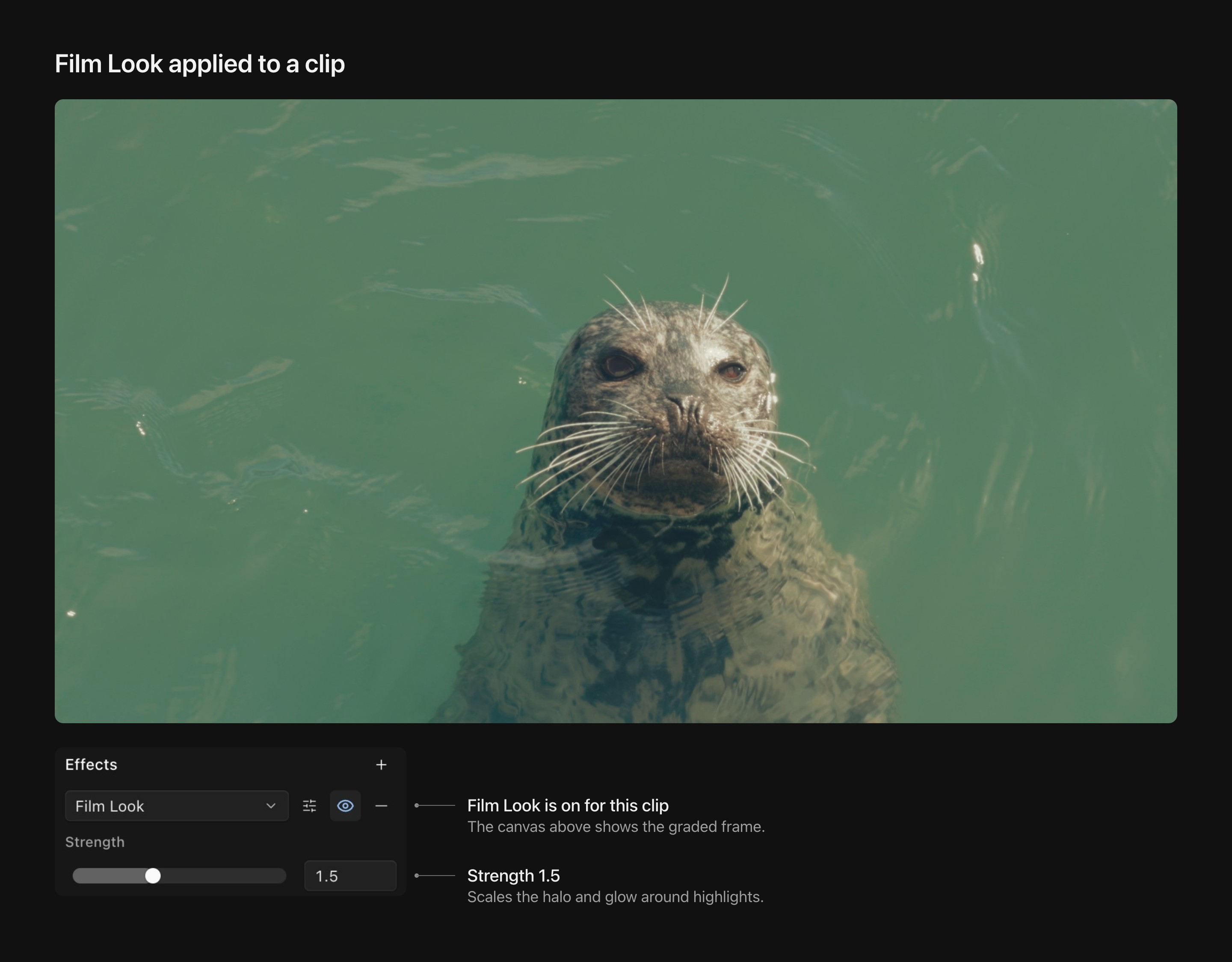 A seal surfacing in green water on Kino's canvas, with the inspector's Effects section showing Film Look at Strength 1.5