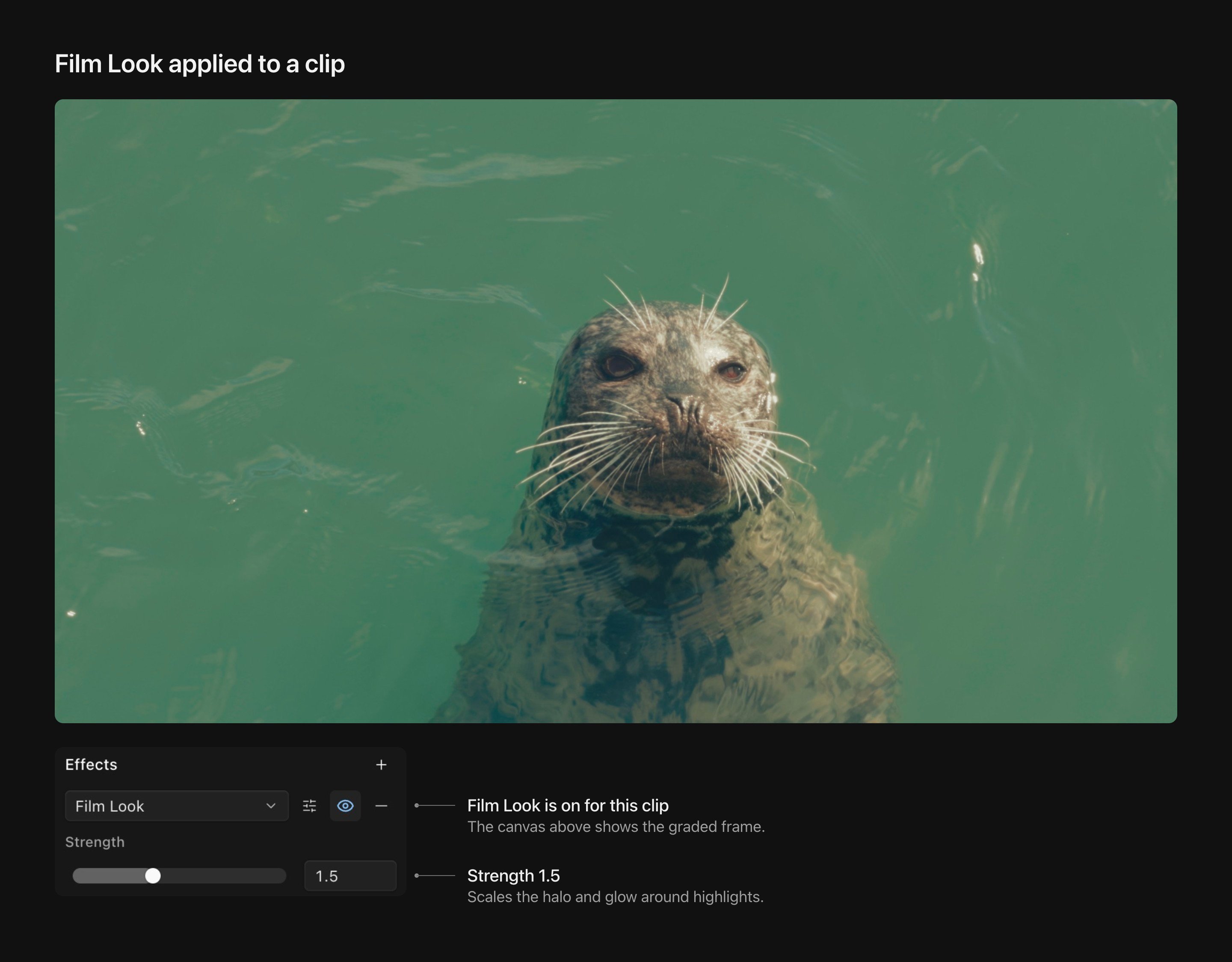 A seal surfacing in green water on Kino's canvas, with the inspector's Effects section showing Film Look at Strength 1.5
