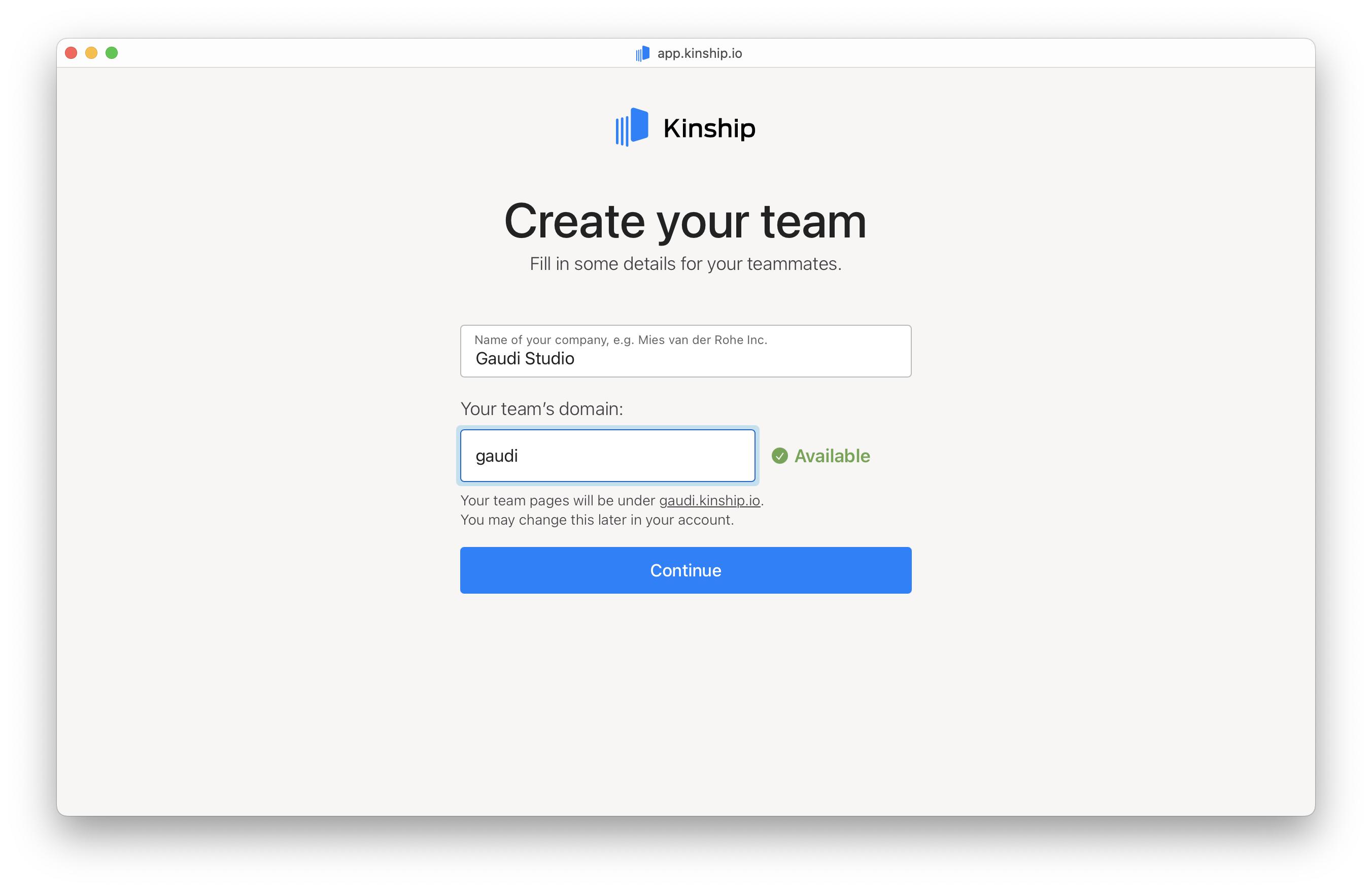 Enter team details - custom domain