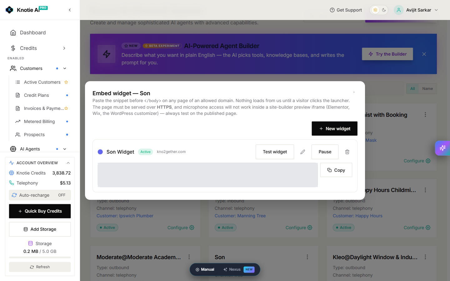 Embed widget panel with an active website widget and its controls