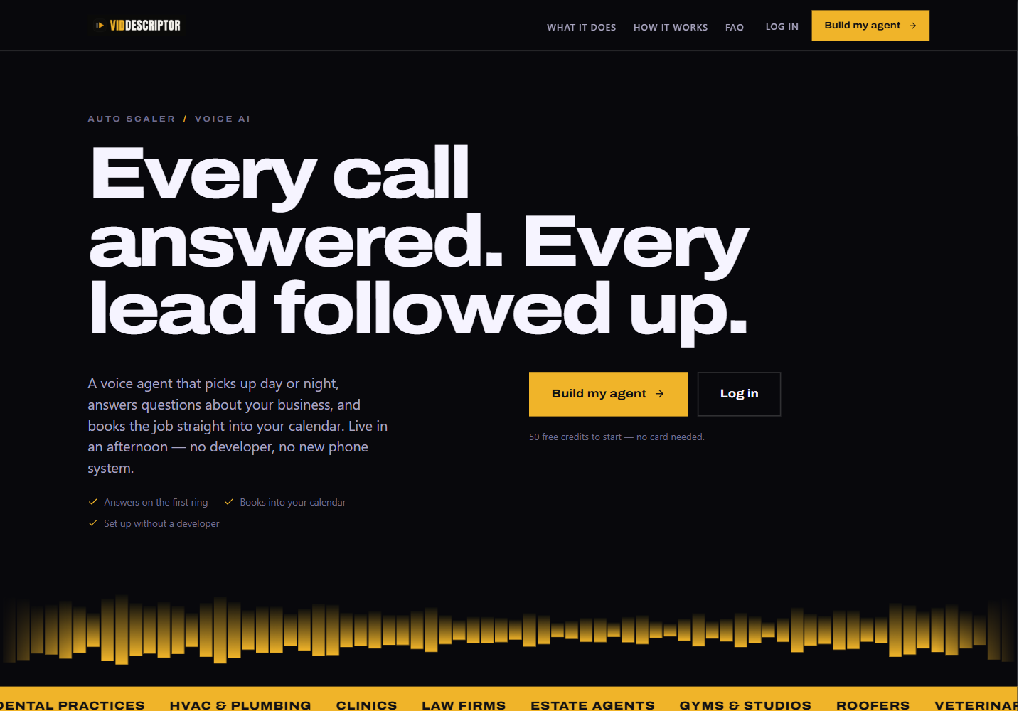 Customer-facing Voice AI Platform page on a branded domain
