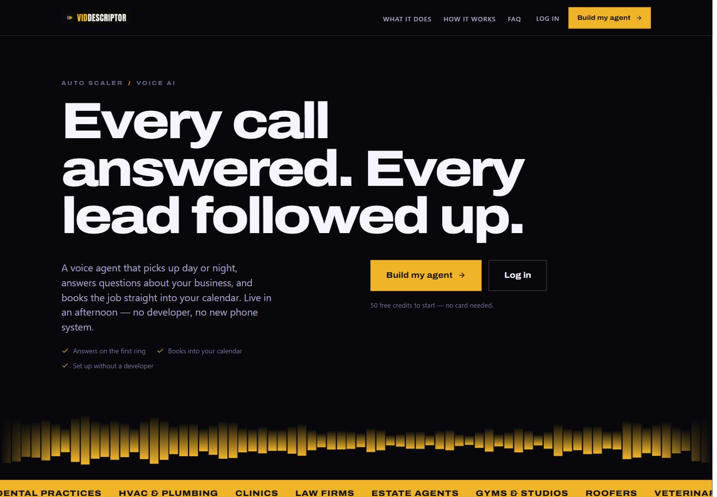 Customer-facing Voice AI Platform page on a branded domain