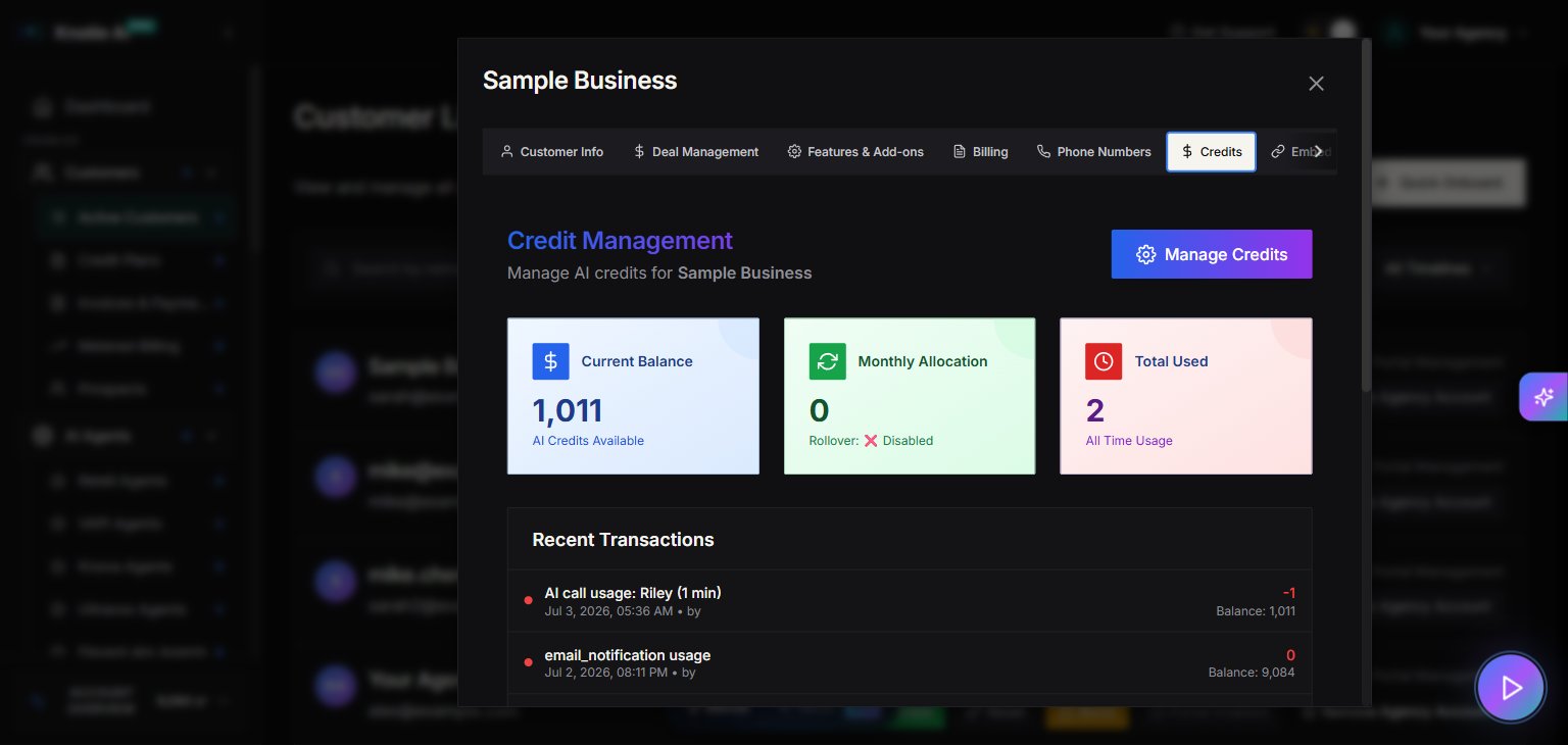 Customer Credits tab with Credit Management panel, Current Balance, Monthly Allocation, Total Used counters, and Manage Credits button