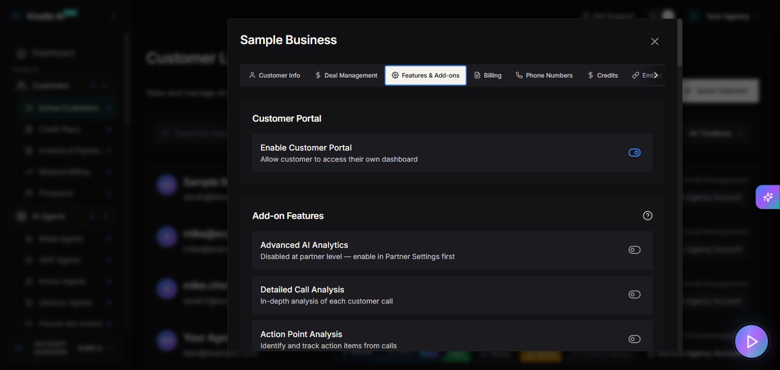 Features and Add-ons tab showing Customer Portal enable toggle, Add-on Features section with Advanced Analytics, Detailed Call Analysis, Action Point Analysis, and API Access toggles