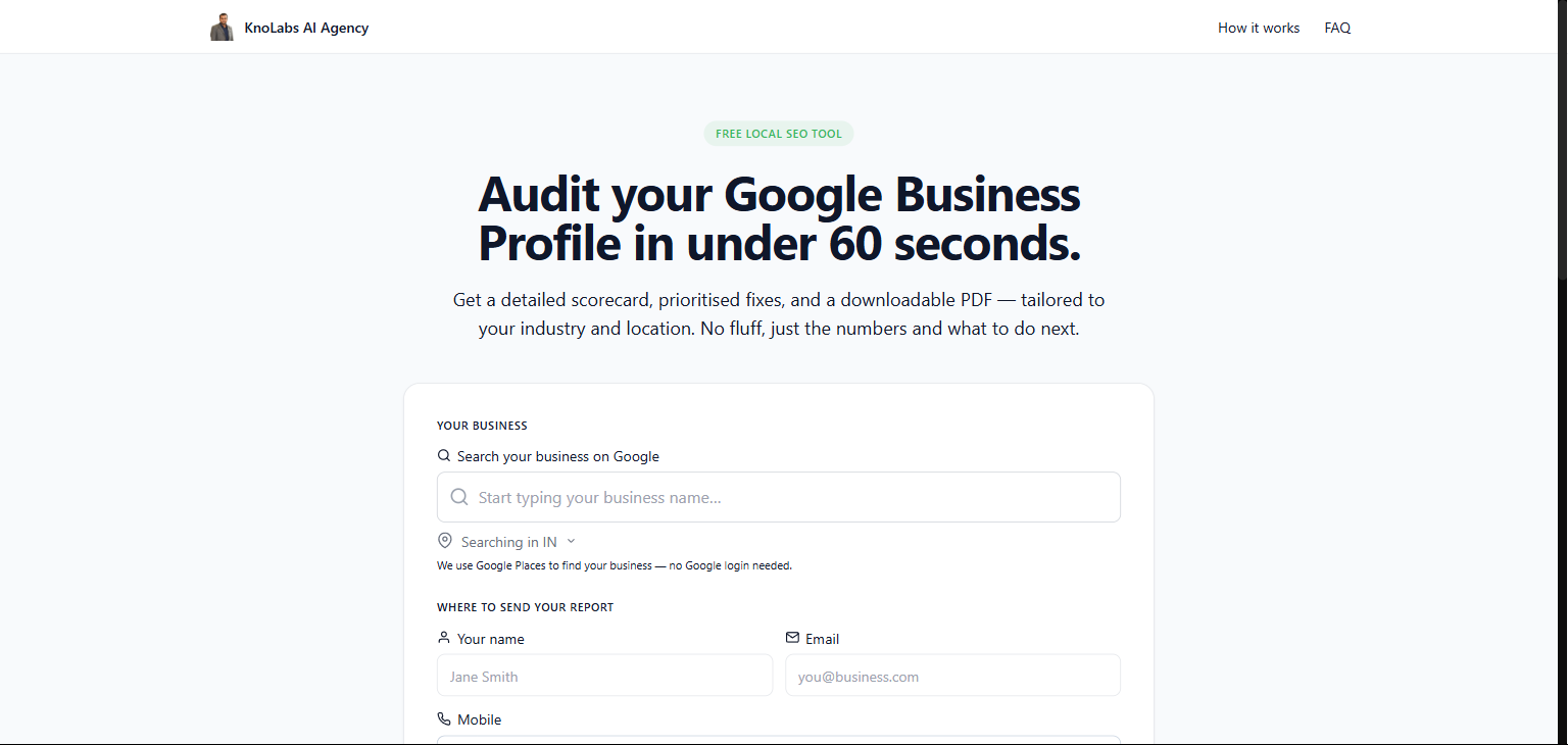 AI Business Audit landing page on partner domain — Google Business Profile search and lead-capture form