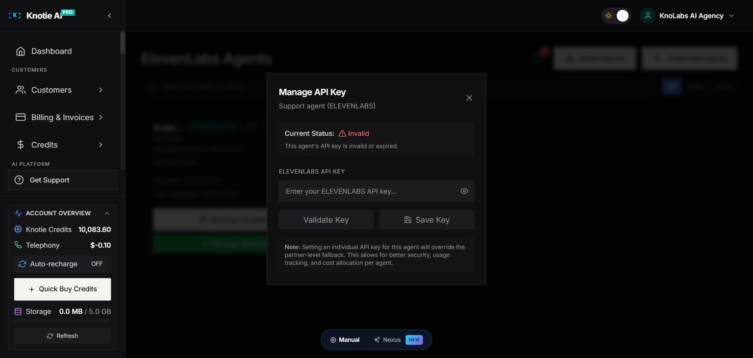 ElevenLabs Manage API Key modal showing current status and key entry field