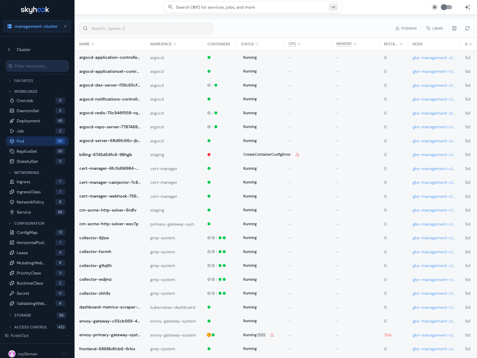 Cluster Resources browser with a categorized sidebar (Workloads, Networking, Configuration, Storage, Access Control, Cluster) showing resource kinds with counts, a search box at the top, and the main content area
