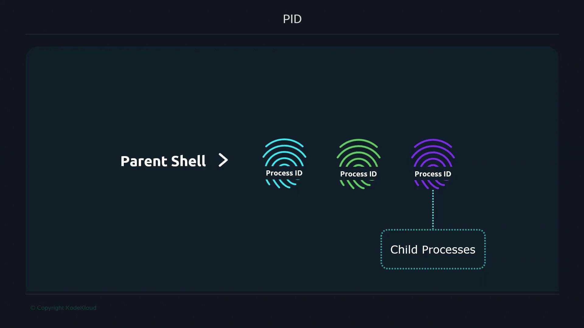 Pidi Shell pid - KodeKloud