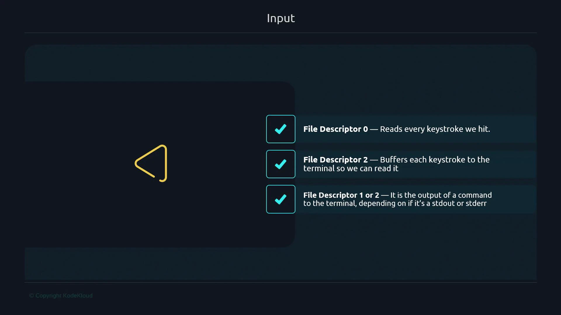A dark-themed slide titled "Input" with a yellow triangular icon on the left
and three teal checkboxes on the right. The checkboxes explain File Descriptor
0 (stdin reads keystrokes), File Descriptor 2 (buffers keystrokes to the
terminal), and File Descriptor 1 or 2 (command output to the terminal,
stdout/stderr).