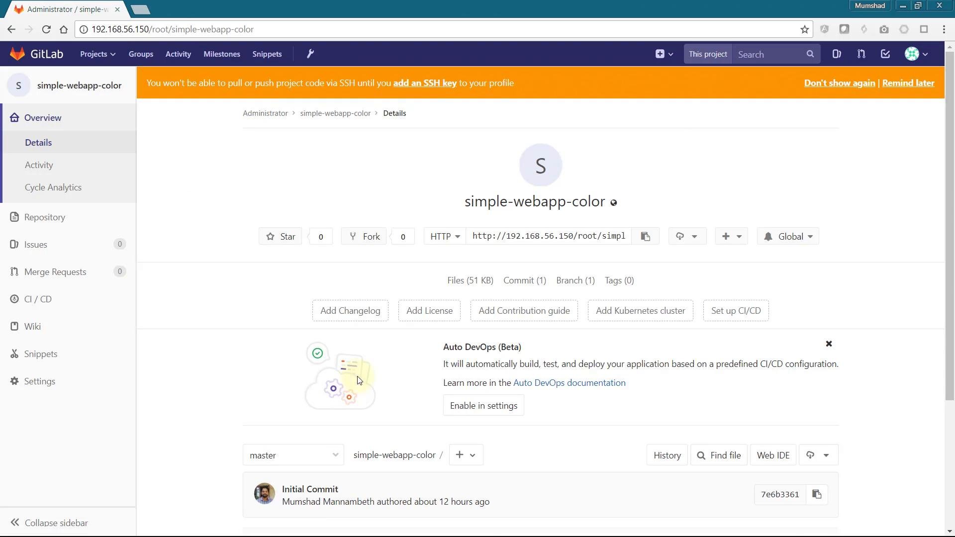 A GitLab project page for a repository named "simple-webapp-color" shown in a browser, with project details, HTTP clone URL, and action buttons (Star, Fork). The left sidebar shows navigation items (Overview, Details, Repository, etc.) and an Auto DevOps section plus commit info is visible below.
