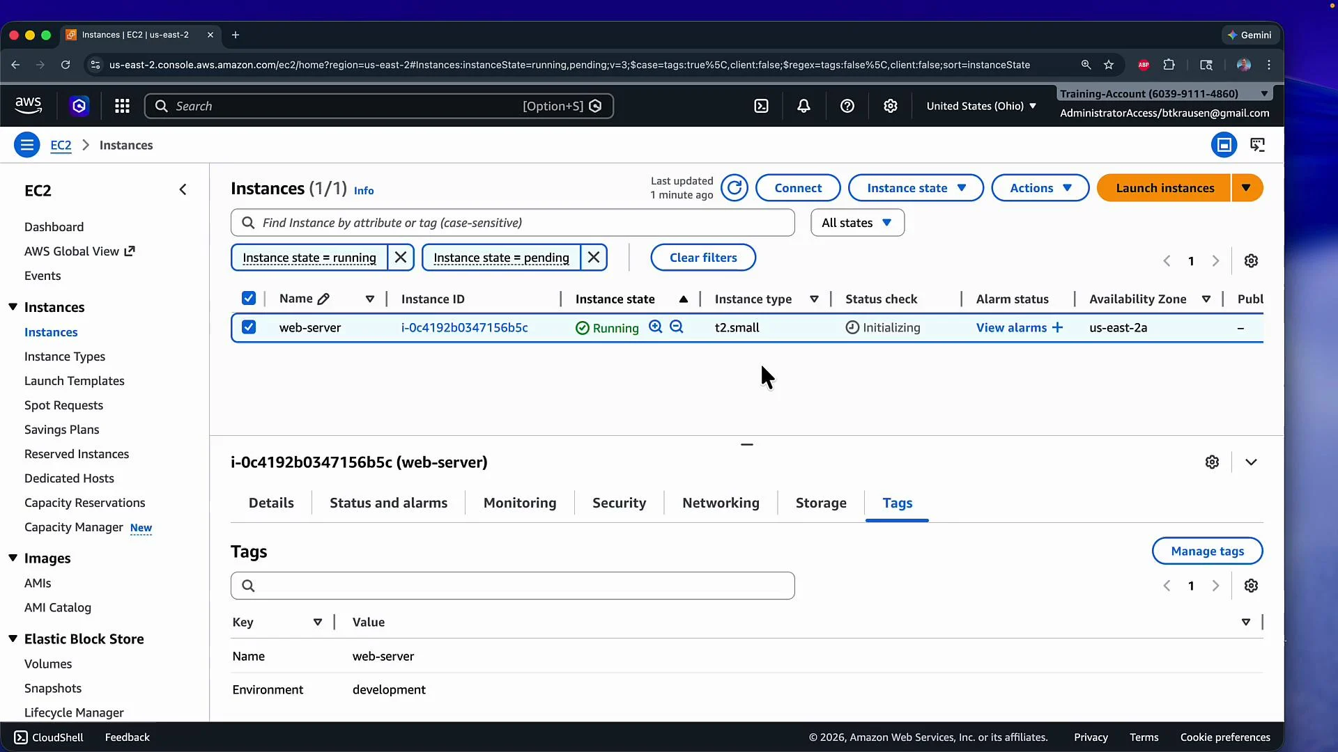 The image shows an AWS EC2 dashboard, displaying details of a running instance labeled "web-server" with instance ID "i-0c4192b0347156b5c." The instance is of type "t2.small" and is in the "us-east-2a" availability zone.