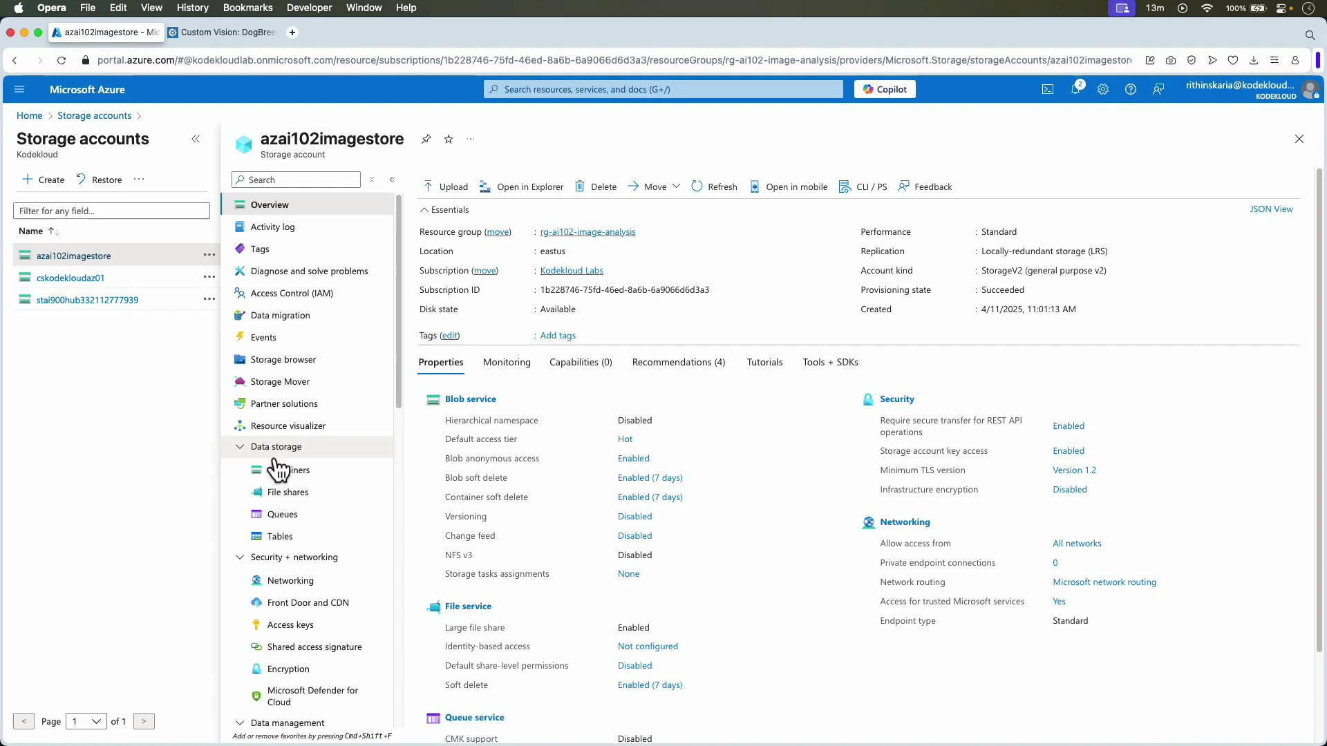 A screenshot of the Microsoft Azure portal showing the Storage accounts overview for a storage account named "azai102imagestore." The screen displays the left navigation and account list on the left and detailed properties and settings (Blob service, File service, Security, Networking) for the selected account on the right.