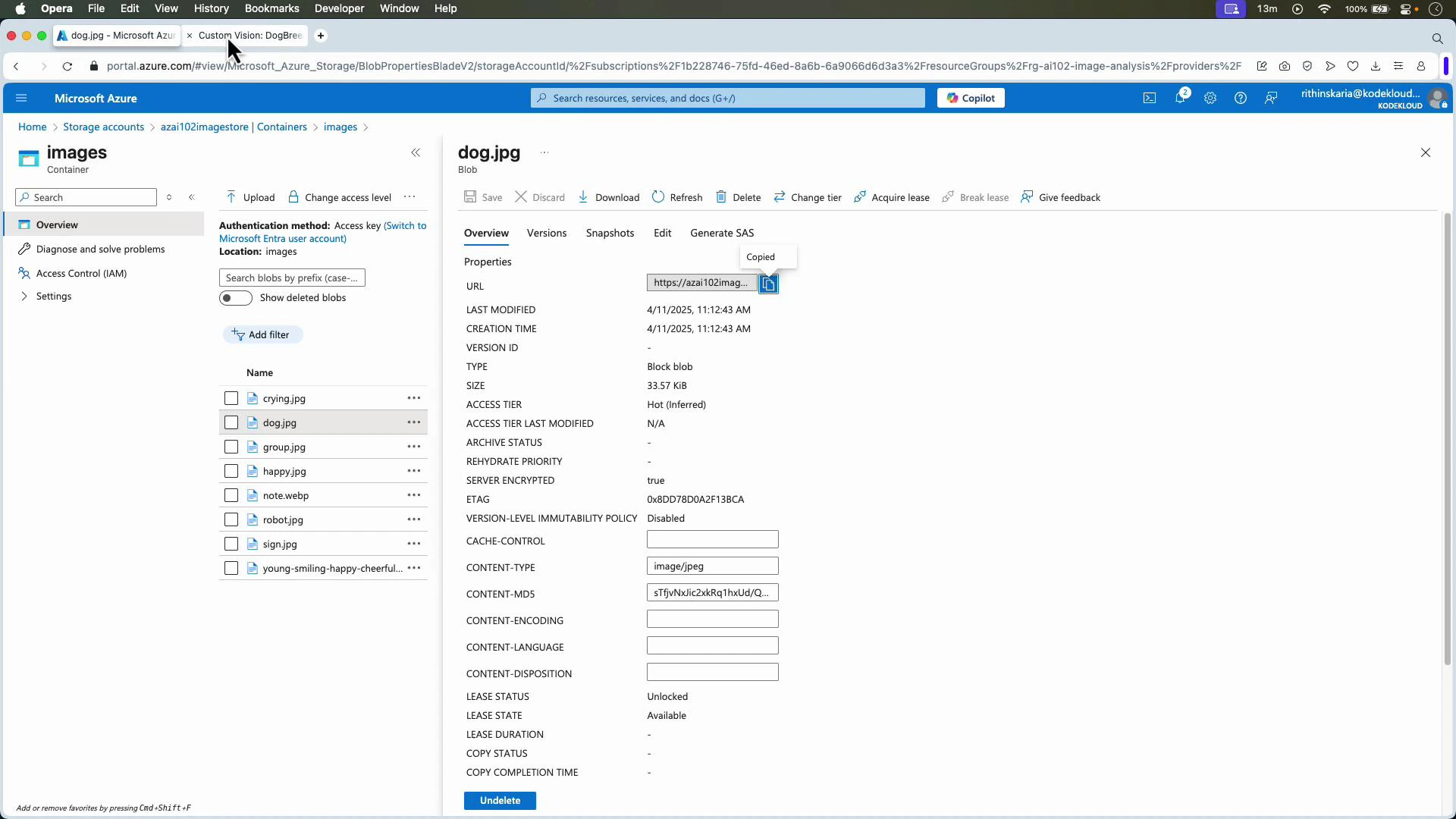 A screenshot of the Microsoft Azure Storage container view showing an "images" container with a list of image files on the left and the properties/details pane for "dog.jpg" open on the right. The properties pane displays blob metadata like URL, last modified time, size, and content-type.