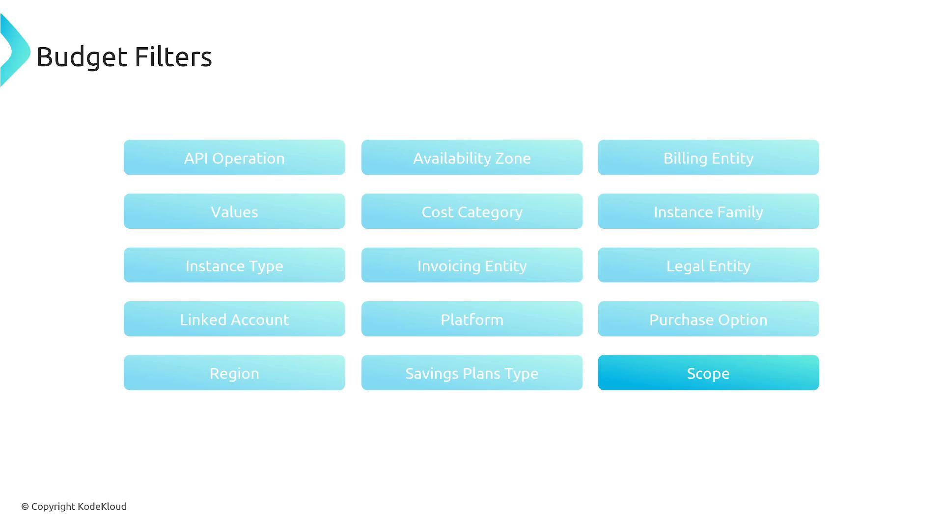 A presentation slide titled "Budget Filters." It shows a grid of blue rounded buttons with filter names like API Operation, Availability Zone, Billing/Legal/Invoicing Entity, Instance Type/Family, Region, Savings Plans Type, Scope, and others.