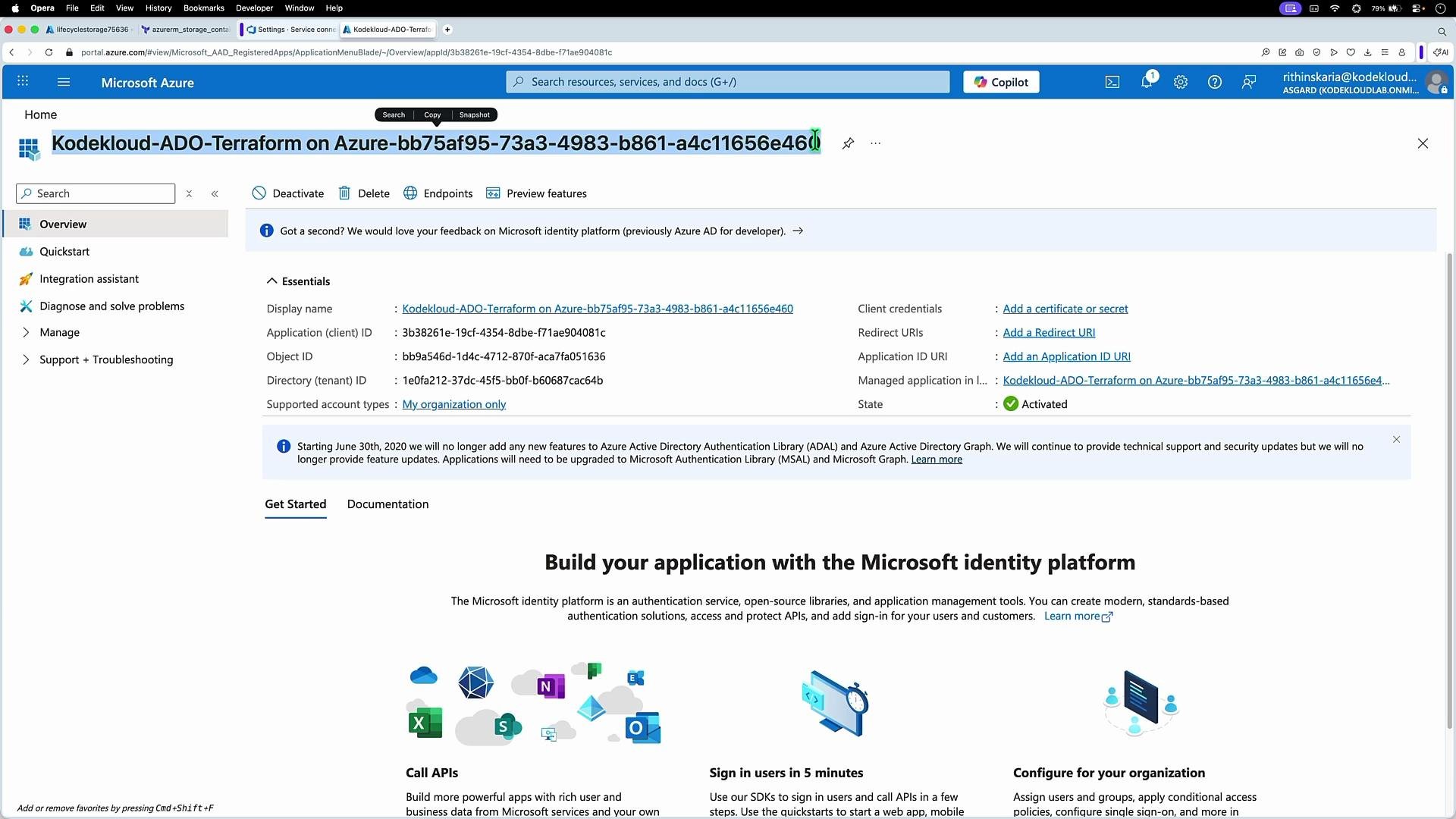 The image shows a Microsoft Azure portal interface displaying the overview of an application registration. It includes details such as application IDs, client credentials, and options to manage the application setup.