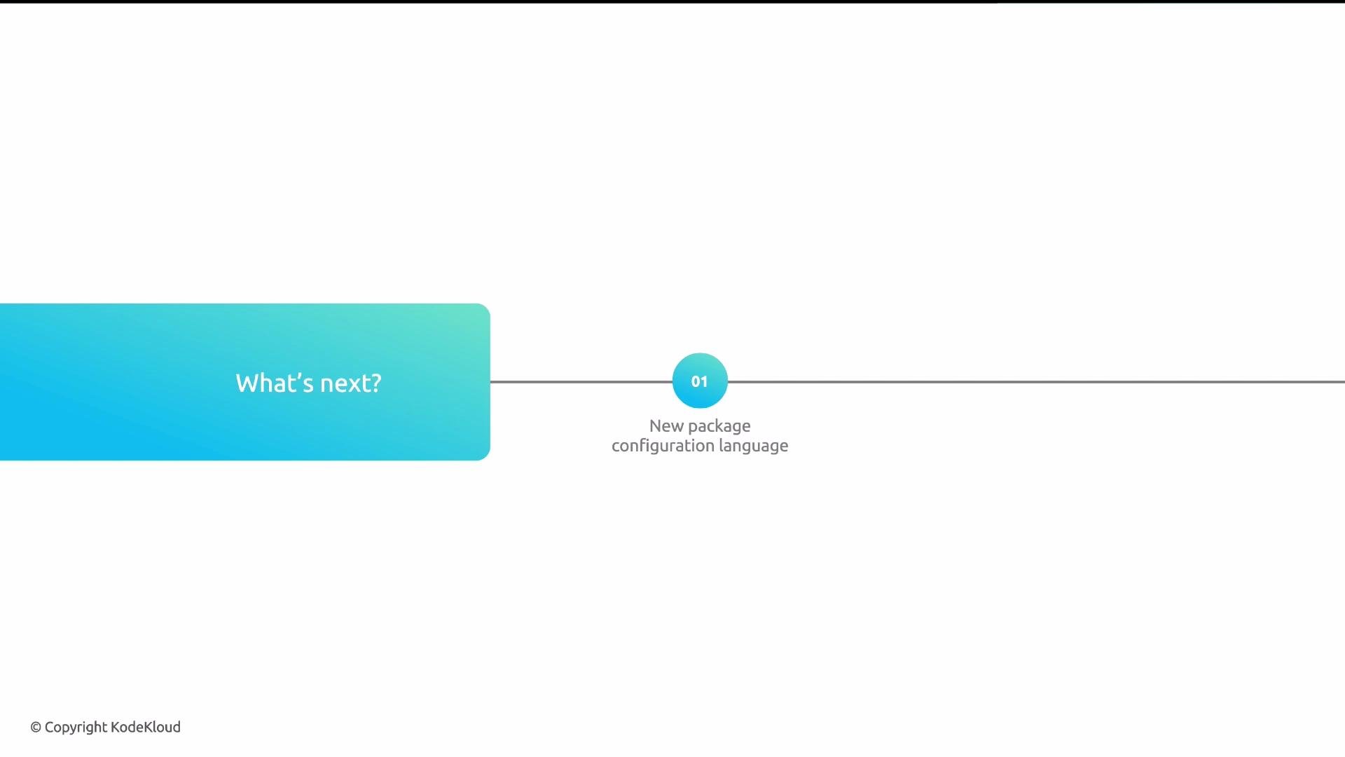 The image depicts a timeline with a single point labeled "01" describing a new package configuration language, alongside a blue box asking "What's next?".