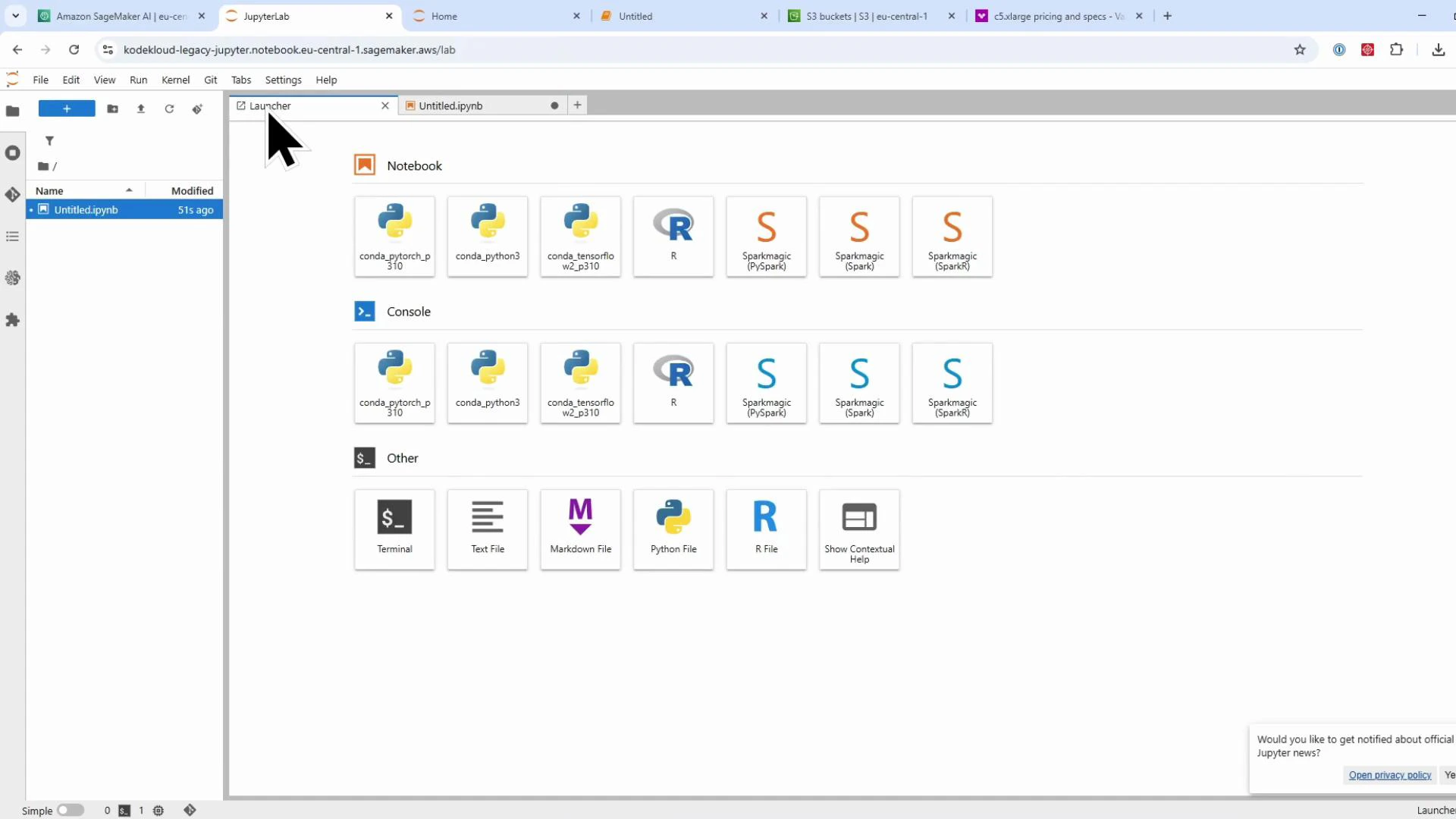A screenshot of the JupyterLab launcher in a web browser, showing tiles for notebooks, consoles, terminals and file types (Python, R, Markdown) with kernel icons. A file browser pane is visible on the left and a large cursor is near the top.