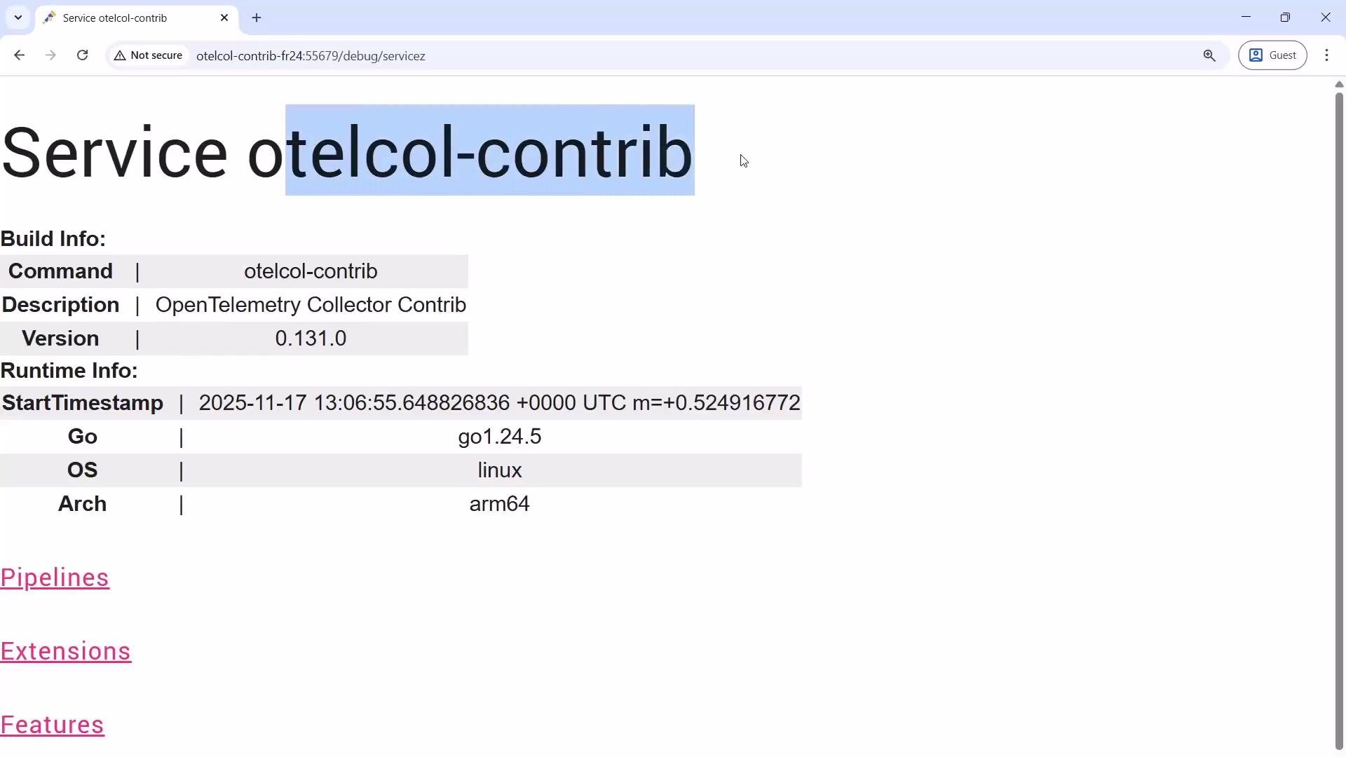 The image shows a webpage with information about the OpenTelemetry Collector Contrib service, including build and runtime details such as the command, version, Go version, operating system, and architecture.