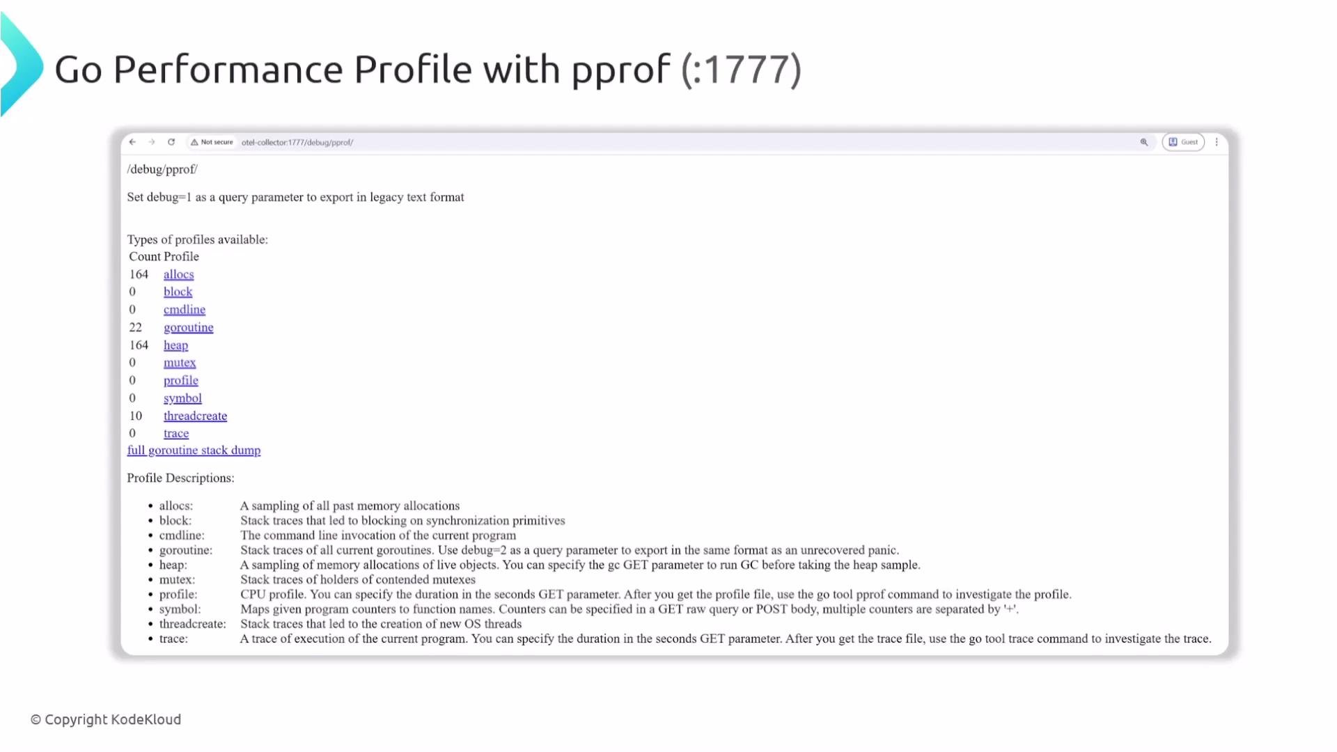 The image shows a webpage displaying Go performance profiling information with "pprof" on port 1777. It lists types of profiles available, such as "allocs" and "goroutine," along with their counts and descriptions.