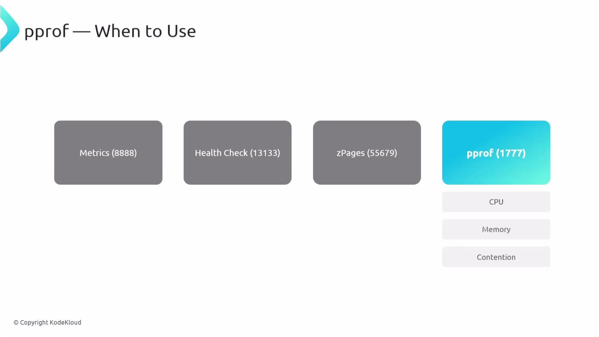The image is a diagram titled "pprof — When to Use," showing four sections: Metrics, Health Check, zPages, and pprof, each with a port number. Below pprof, there are options for CPU, Memory, and Contention analysis.