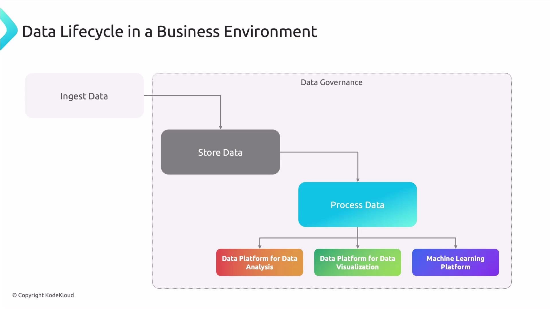 A flowchart titled "Data Lifecycle in a Business Environment" showing data moving from "Ingest Data" to "Store Data" to "Process Data" inside a "Data Governance" boundary. The processed data then feeds platforms for data analysis, visualization, and machine learning.