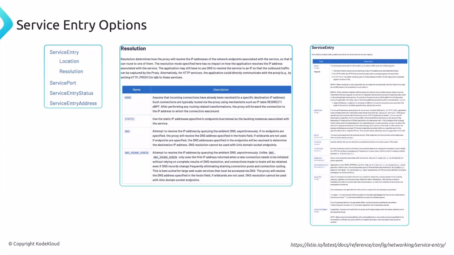 The image is a slide titled "Service Entry Options" featuring definitions and explanations for terms like "ServiceEntry", "Location", and "Resolution", with a focus on how network endpoints are resolved in a proxy. The slide includes detailed tables describing resolution methods such as NONE, STATIC, DNS, and DNS_ROUND_ROBIN.