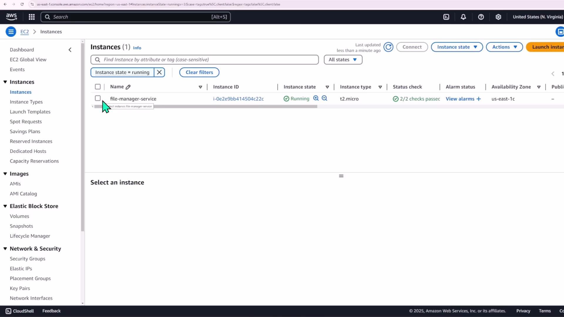 A screenshot of the AWS EC2 Instances console showing one running instance named "file-manager-service" (t2.micro) with 2/2 status checks passed. The left navigation pane lists EC2 sections like Instances, Images, and Elastic Block Store.