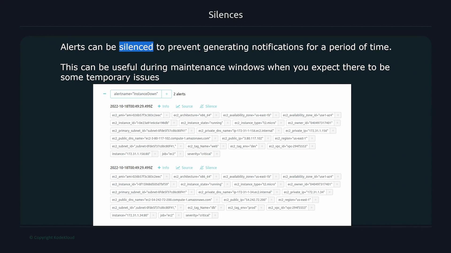 The image shows information about alert silencing in a system, including details of alerts for EC2 instances with fields like instance ID, architecture, and severity.