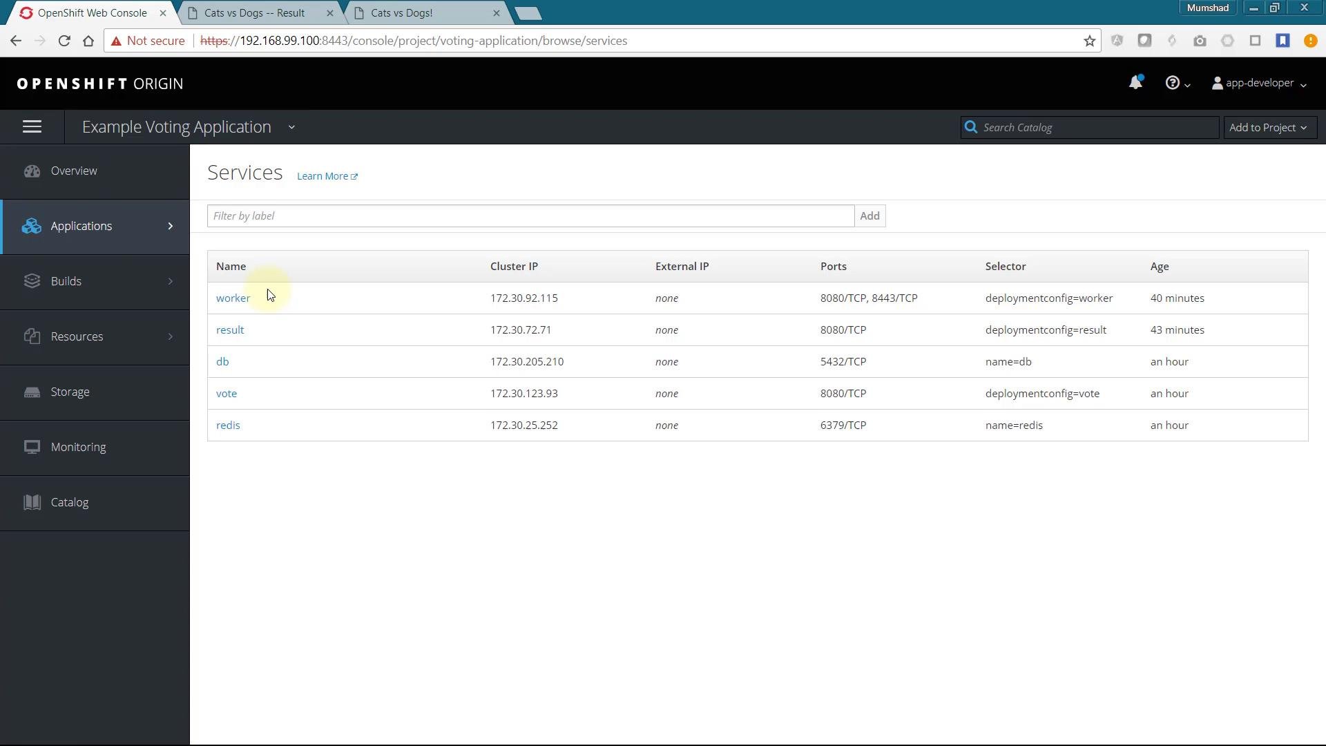 A screenshot of the OpenShift Origin web console showing the "Services" page for an "Example Voting Application." It lists services (worker, result, db, vote, redis) with their Cluster IPs, ports, selectors, and ages.