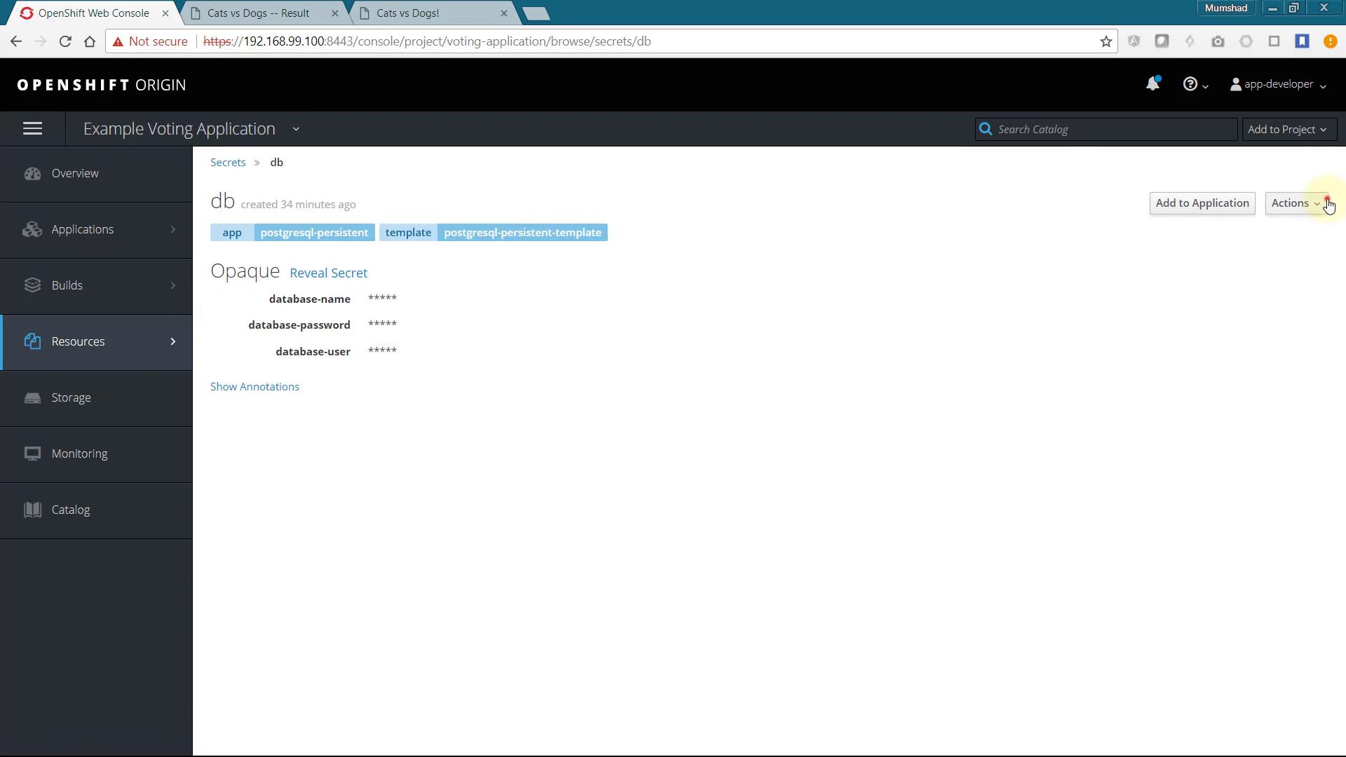A screenshot of the OpenShift Origin web console for the "Example Voting Application" showing a secret named "db" with database-name, database-password, and database-user values masked. The left navigation (Overview, Applications, Builds, Resources, etc.) is visible and there are "Add to Application" and "Actions" buttons on the page.