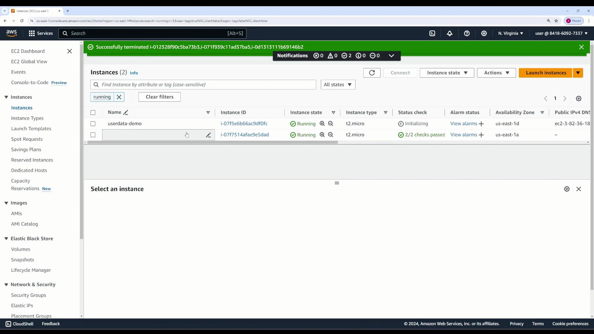 A screenshot of the AWS EC2 Instances dashboard showing two running t2.micro instances (one named "userdata-demo") with status checks passed.