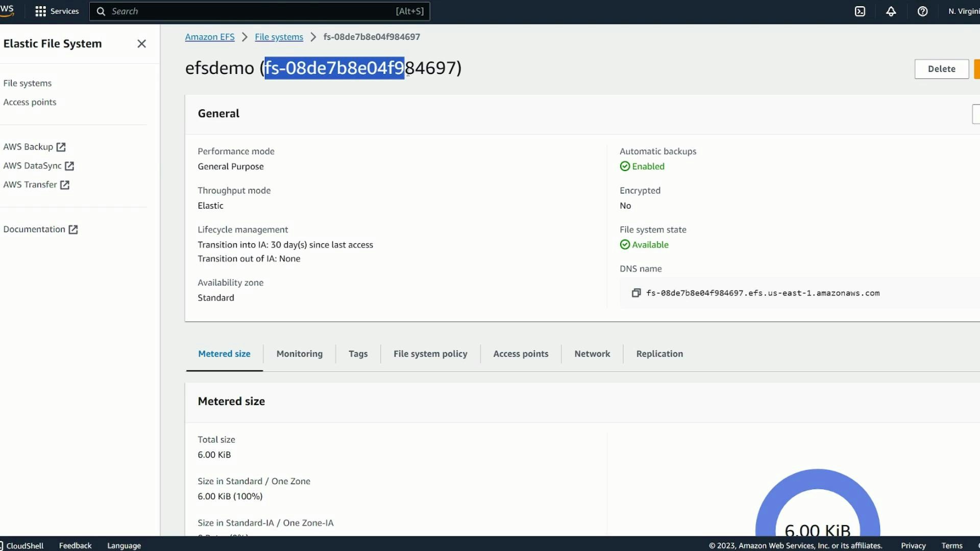 A screenshot of the Amazon Elastic File System (EFS) console showing details for a file system named "efsdemo" (fs-08de7b8e04f984697). The General panel shows General Purpose performance, Elastic throughput, automatic backups enabled, state "Available," and a metered size of 6.00 KiB.
