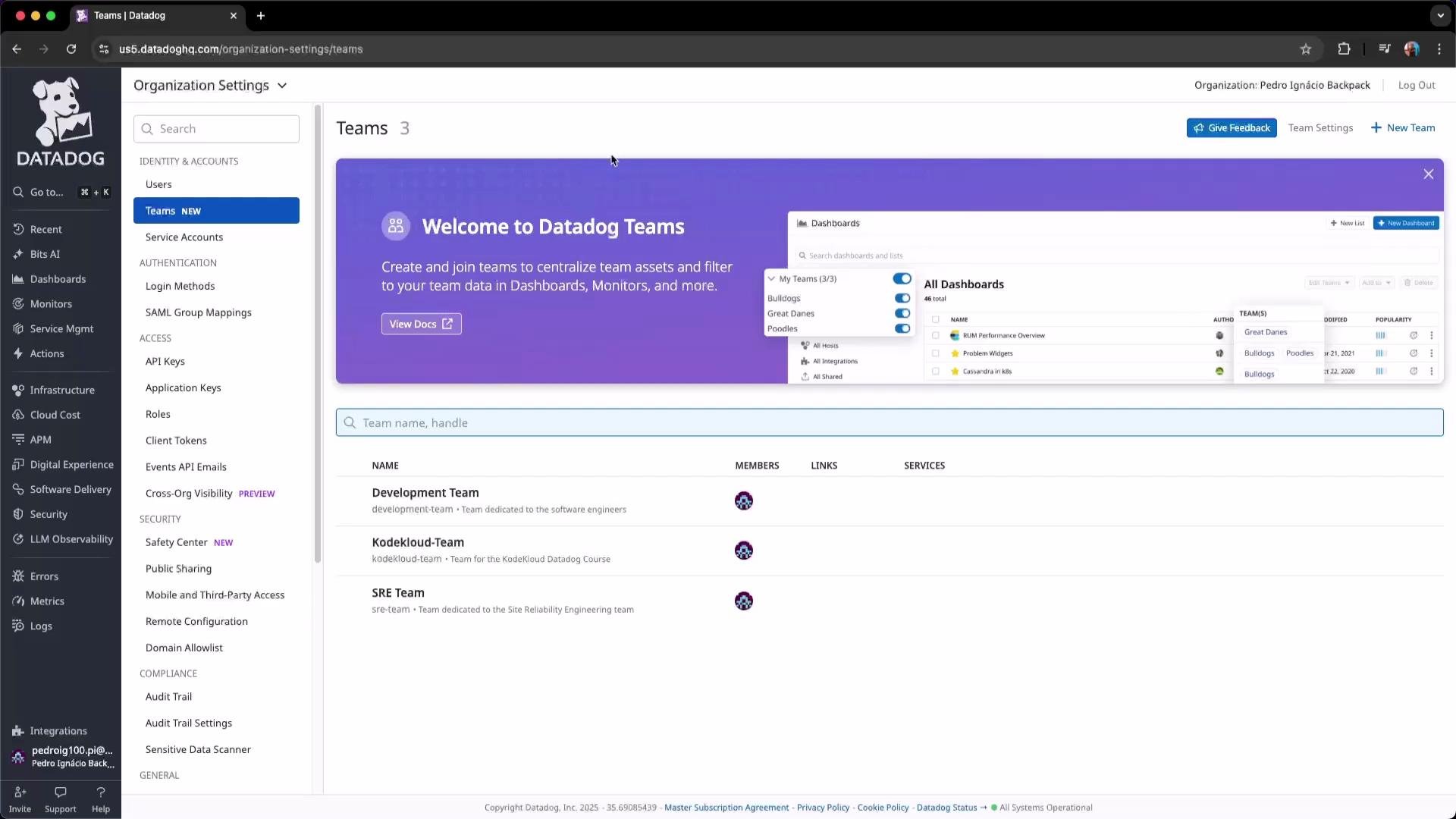 The image shows a Datadog organization settings page with a focus on managing teams, displaying options for team creation and management on a dashboard.