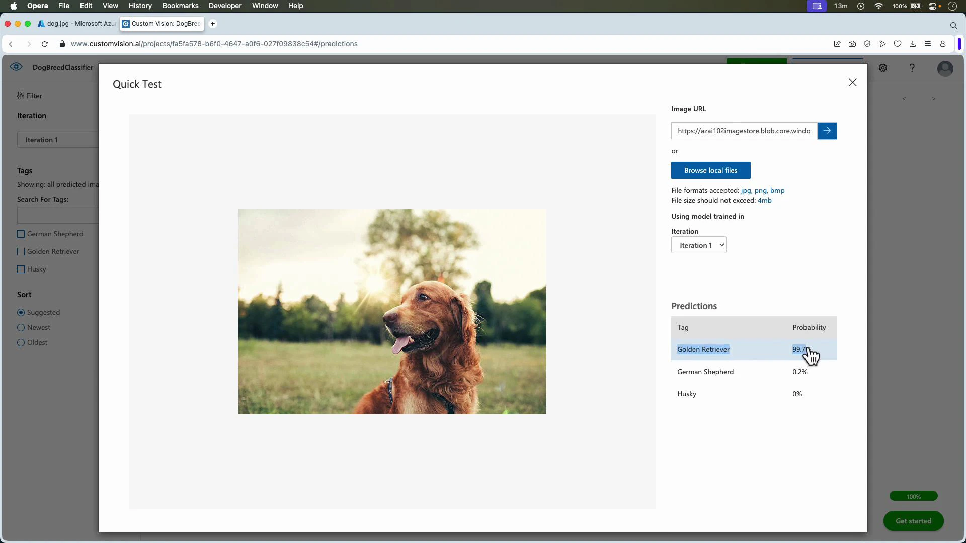 A screenshot of a "Quick Test" page in a custom vision web app showing a photo of a golden retriever sitting in a grassy field. The predictions panel on the right lists "Golden Retriever" with about 99.7% probability.