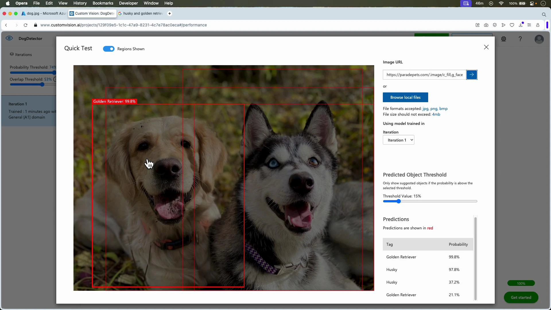 A screenshot of a Custom Vision "Quick Test" window showing two smiling dogs — a golden retriever on the left and a husky on the right — with red detection boxes. The sidebar shows model predictions (e.g., Golden Retriever 99.8% and Husky 97.8%).