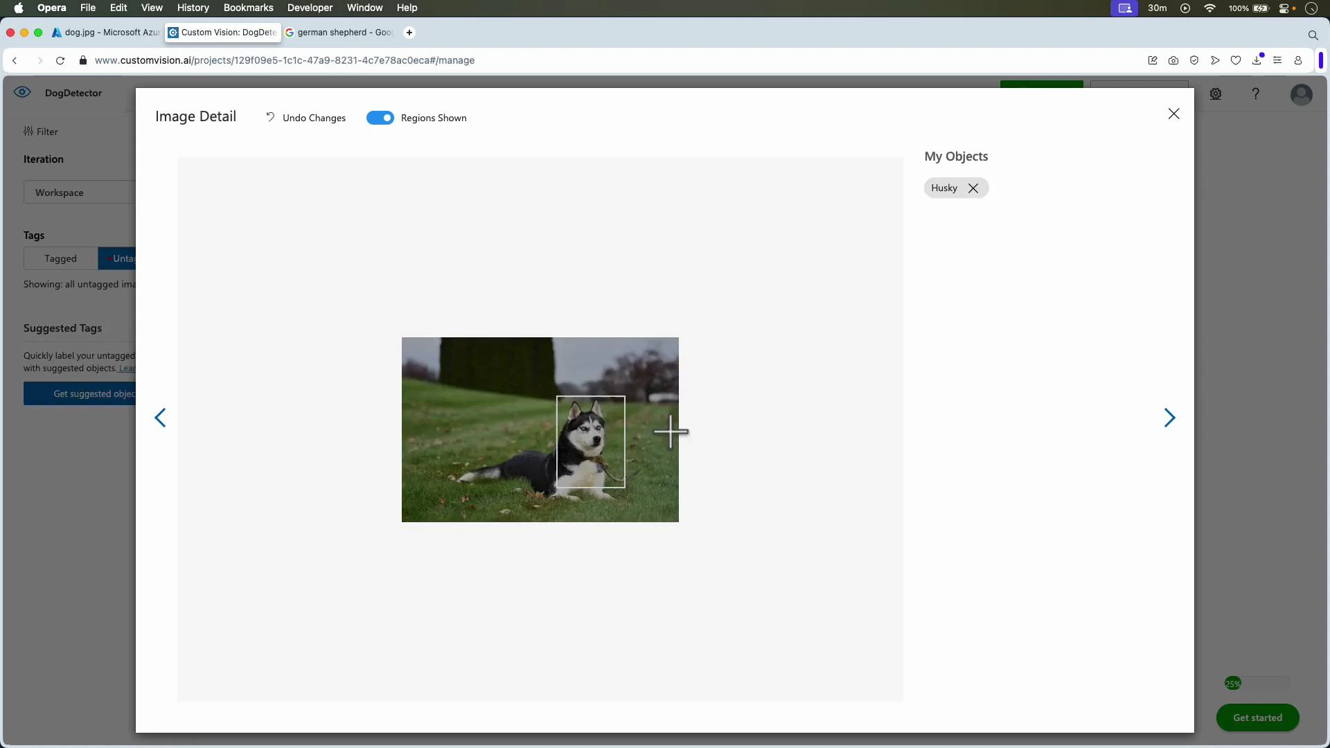 A screenshot of an image-annotation web app. It shows a husky dog lying on grass with a bounding box around it labeled "Husky."