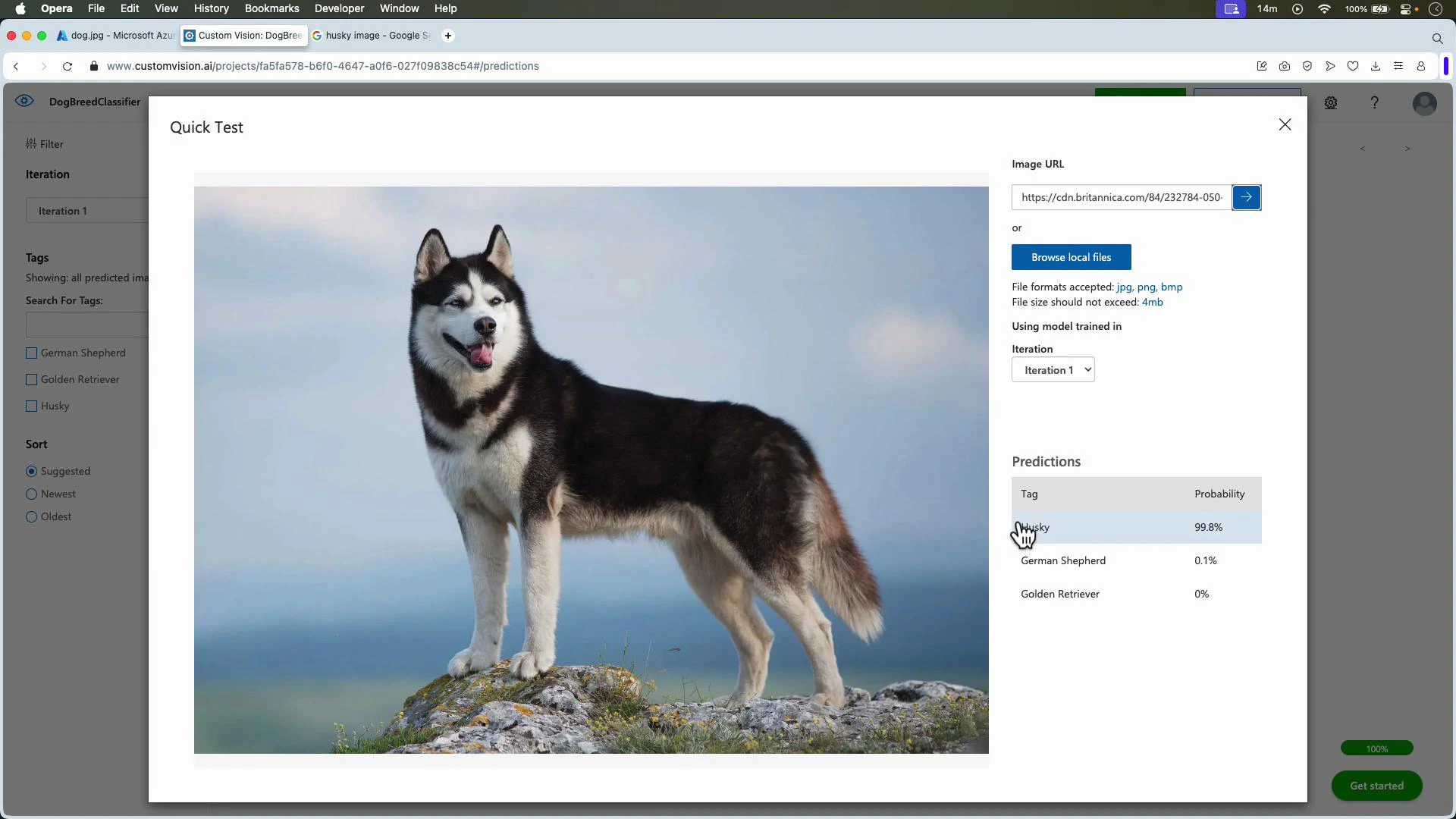A screenshot of a web app showing a black-and-white Siberian husky standing on a rocky outcrop against a blue sky. The app's prediction panel on the right labels the image "Husky" with 99.8% probability.
