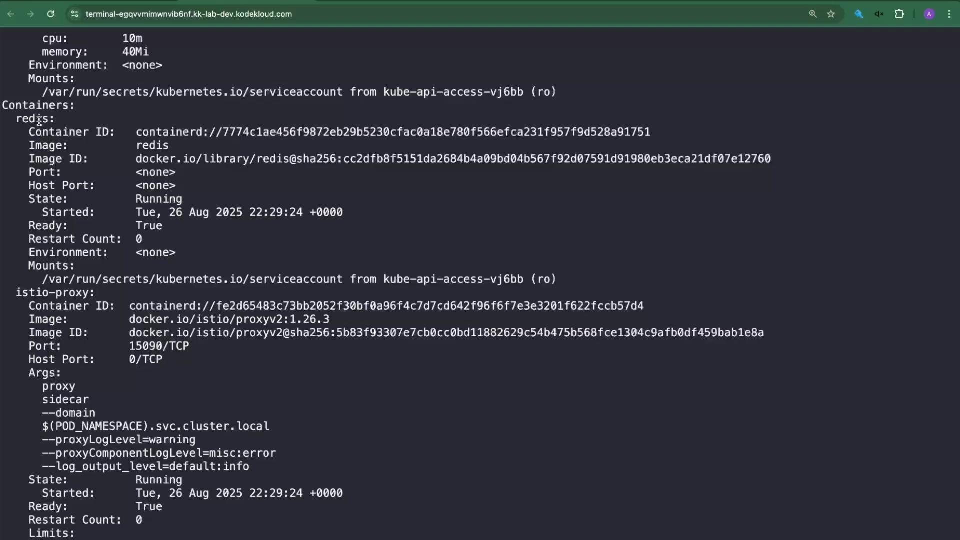 The image shows a terminal window displaying Kubernetes container details, including information about two containers: one running Redis and another running an Istio proxy.