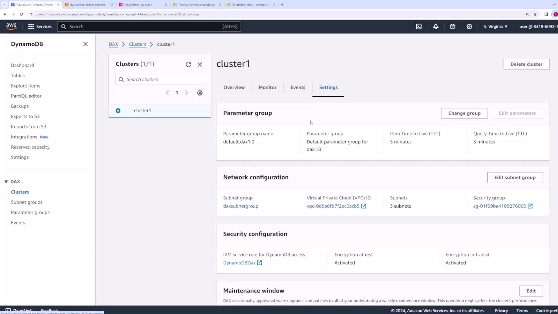 A screenshot of the AWS DynamoDB console on the DAX cluster "cluster1" Settings page showing parameter group, network configuration, security configuration, and maintenance window sections. Action buttons like Change group, Edit subnet group, and Delete cluster are also visible.